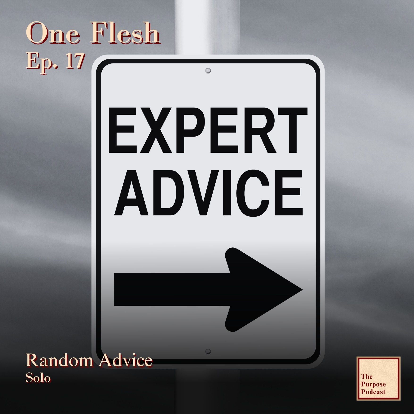 One Flesh Ep. 17 - Random Advice | Solo episode artwork