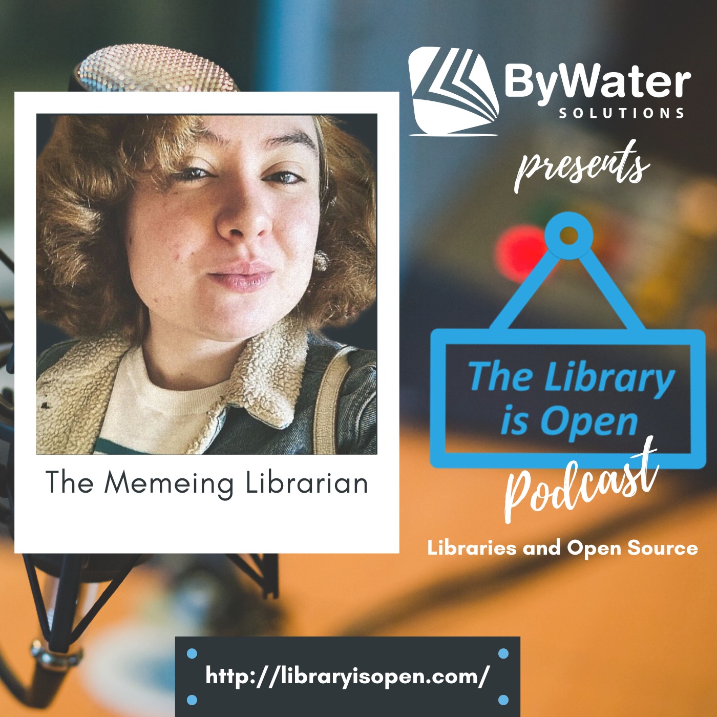 The Memeing Librarian--The Library is Open Ep. 33 episode artwork
