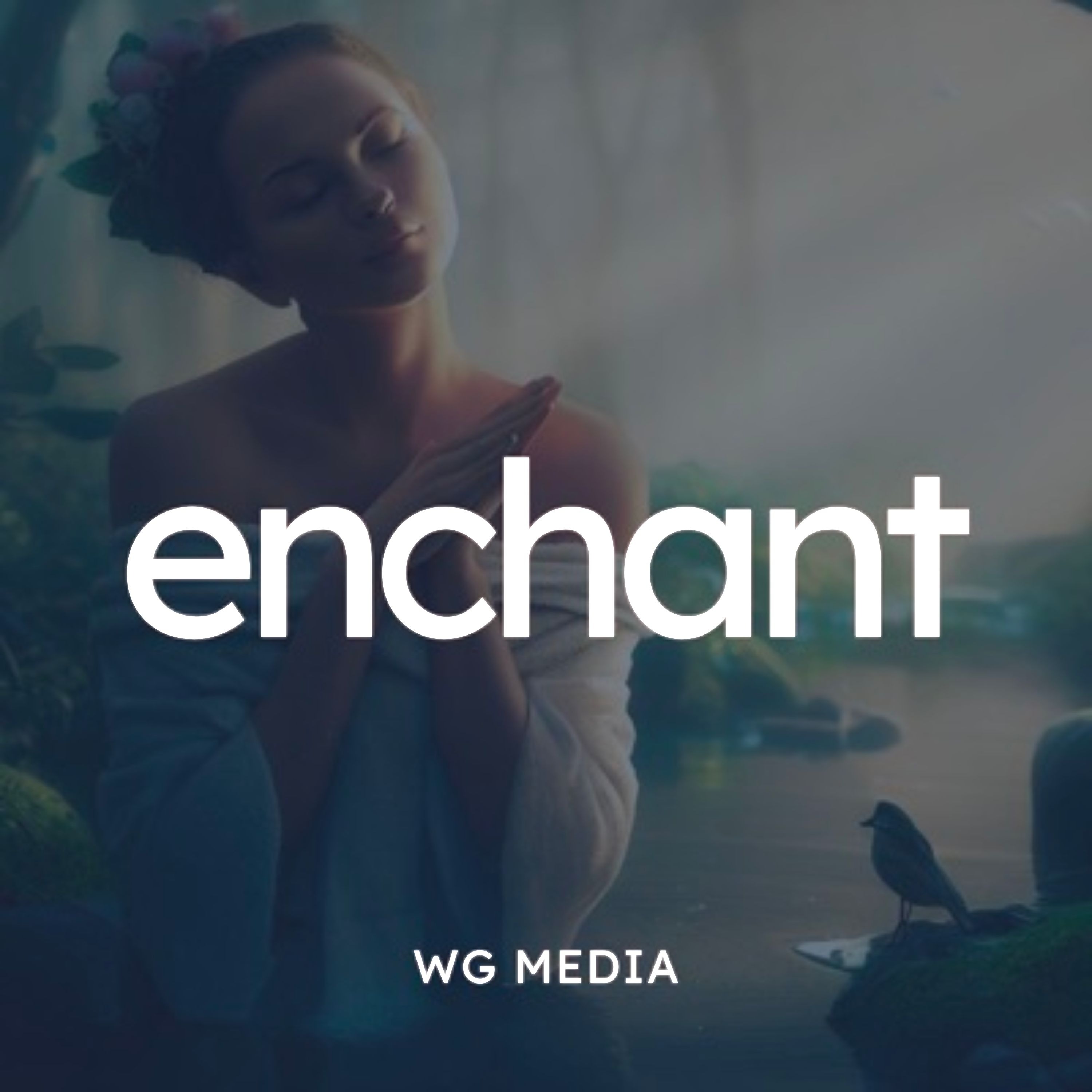 Audio Player Image