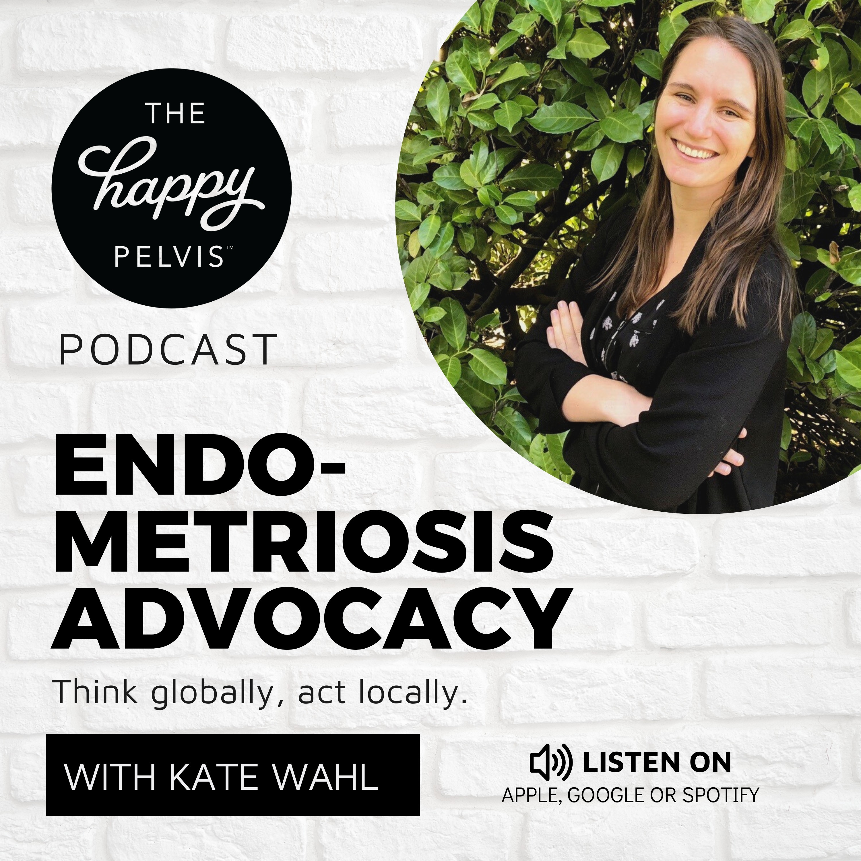 005: Exploring the multifaceted implications of the phrase ‘endometriosis is a public health issue’ with researcher Kate Wahl