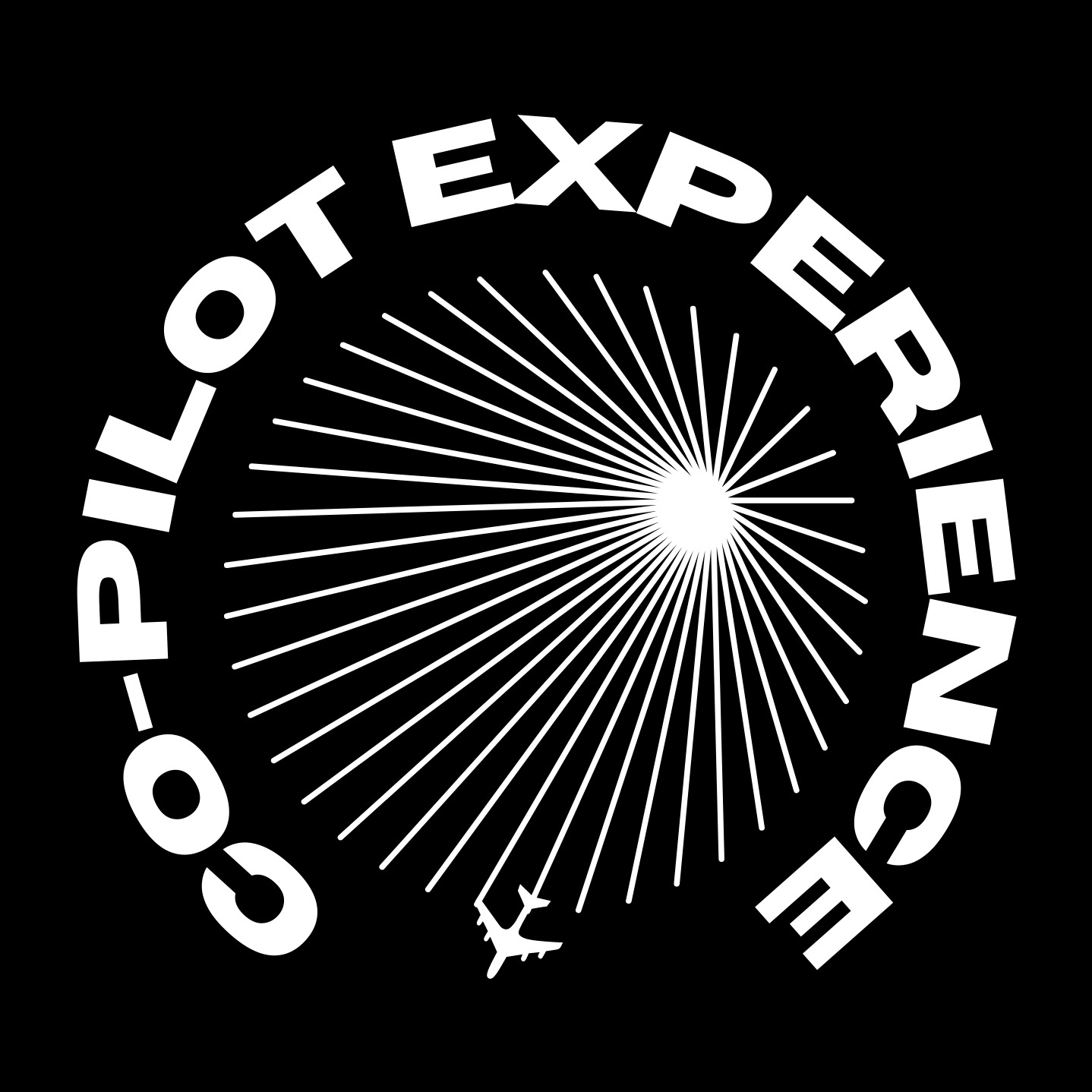 The Co-Pilot Experience