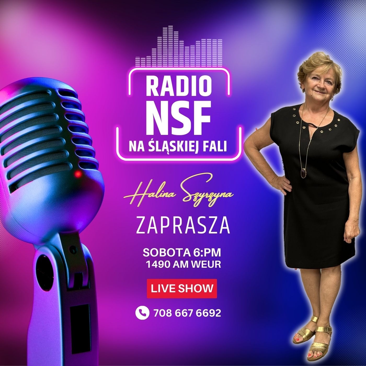 Radio Na Śląskiej Fali Chicago
