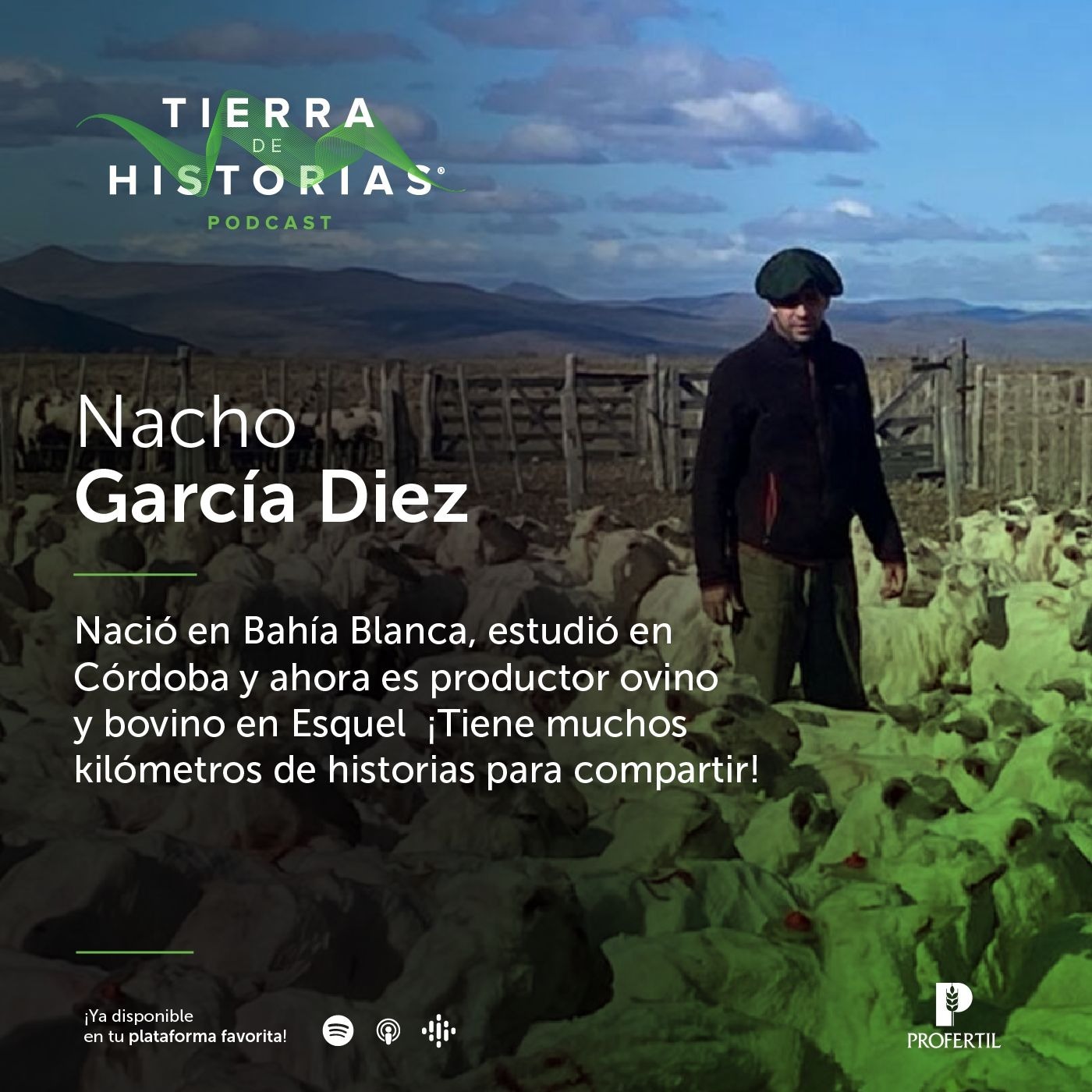 Tierra de Historias