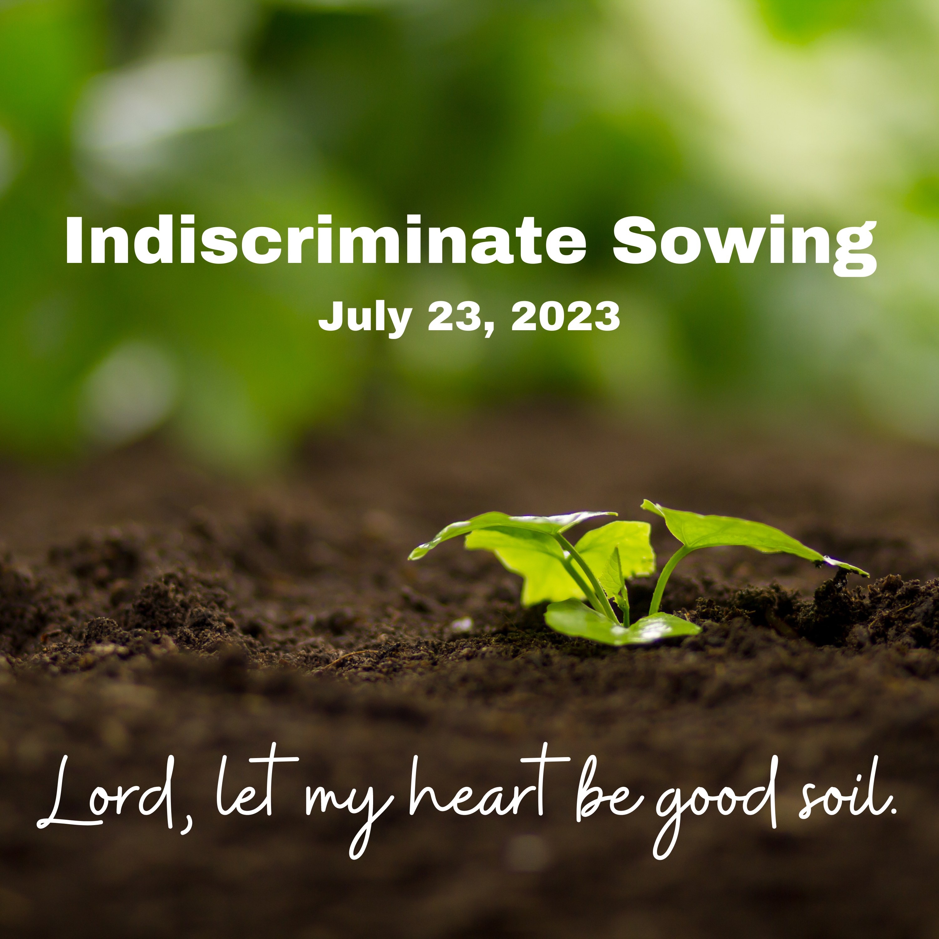 Sermons | Living Hope and Christ the King ELCA Lutheran Churches