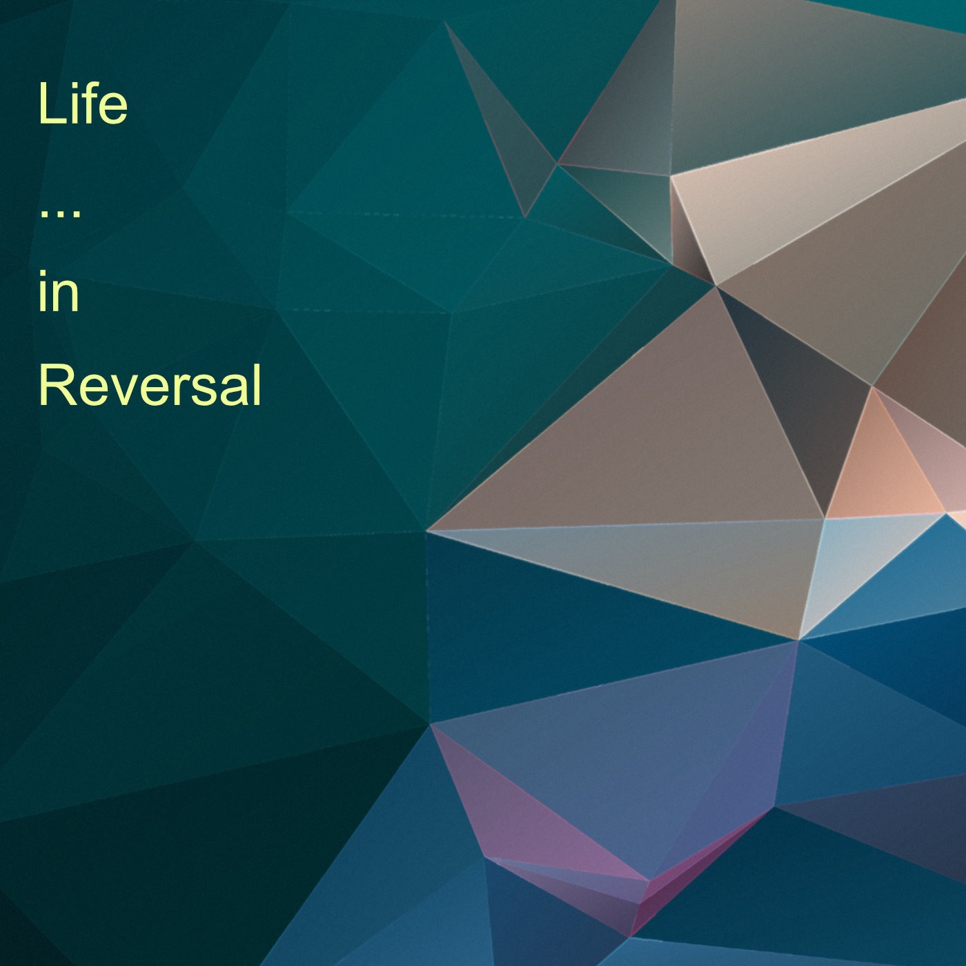 Notes from a Lesser Reality