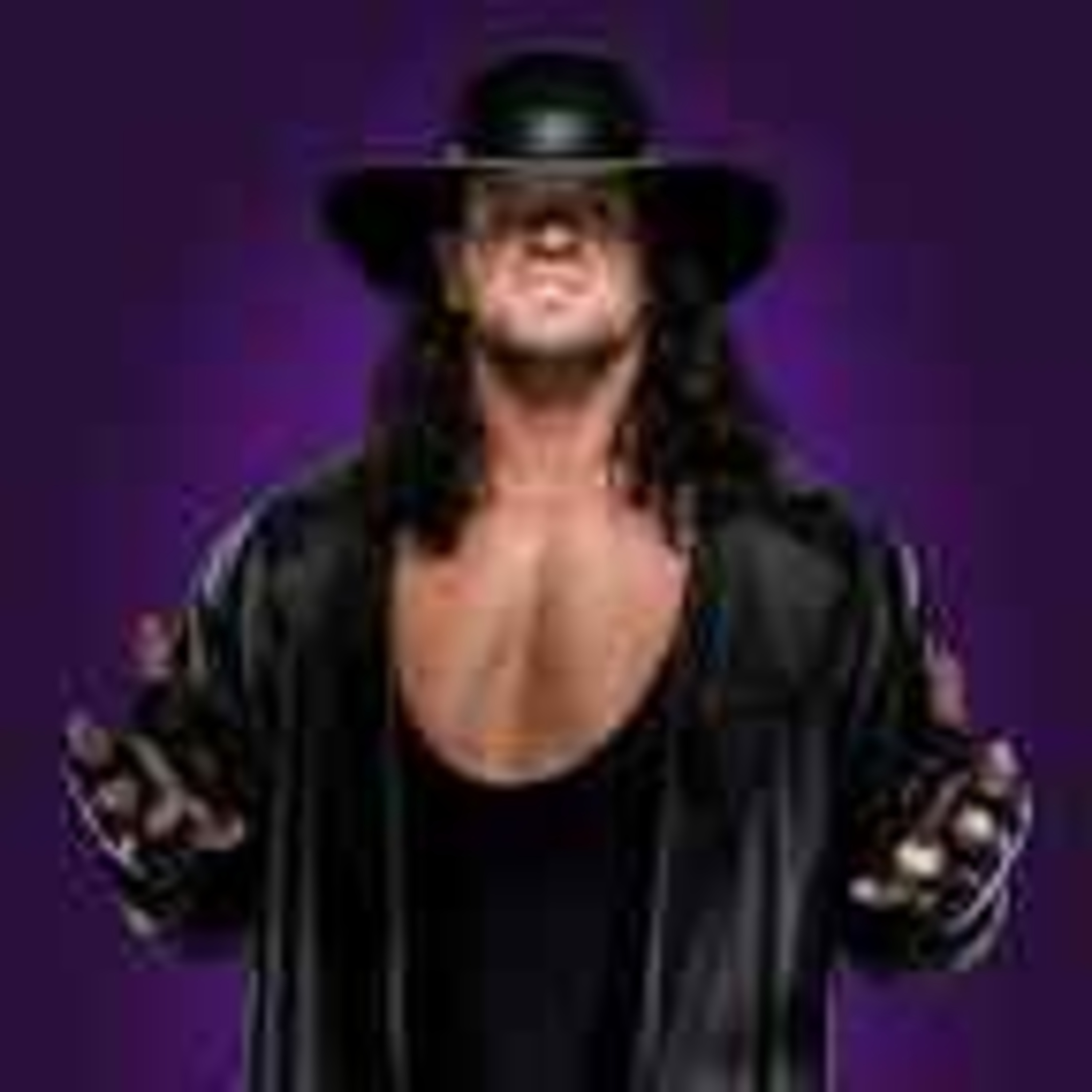 Thank you undertaker now a WWE hall of famer episode artwork