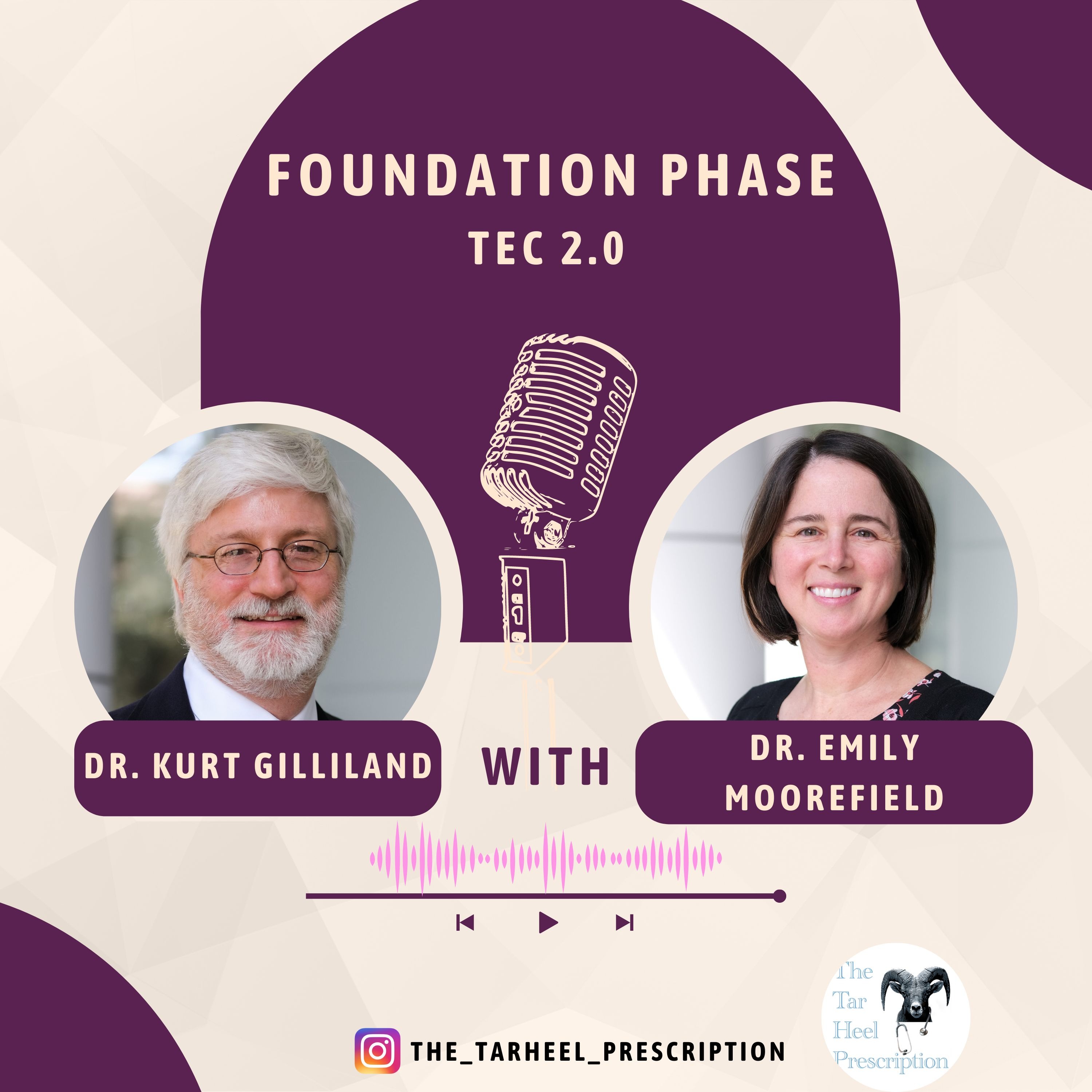 1.19 Foundation Phase: TEC 2.0