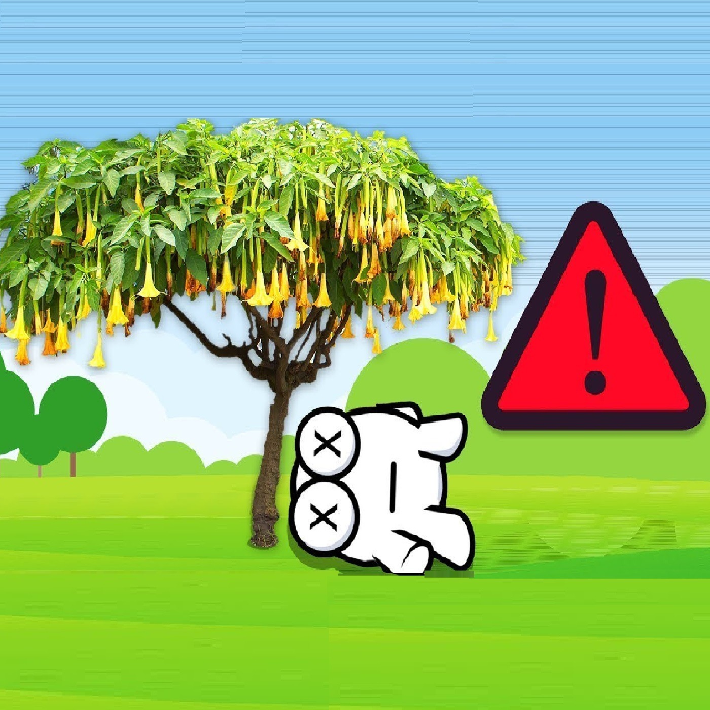 Never Sleep Under This Tree! You'll Never Wake Up