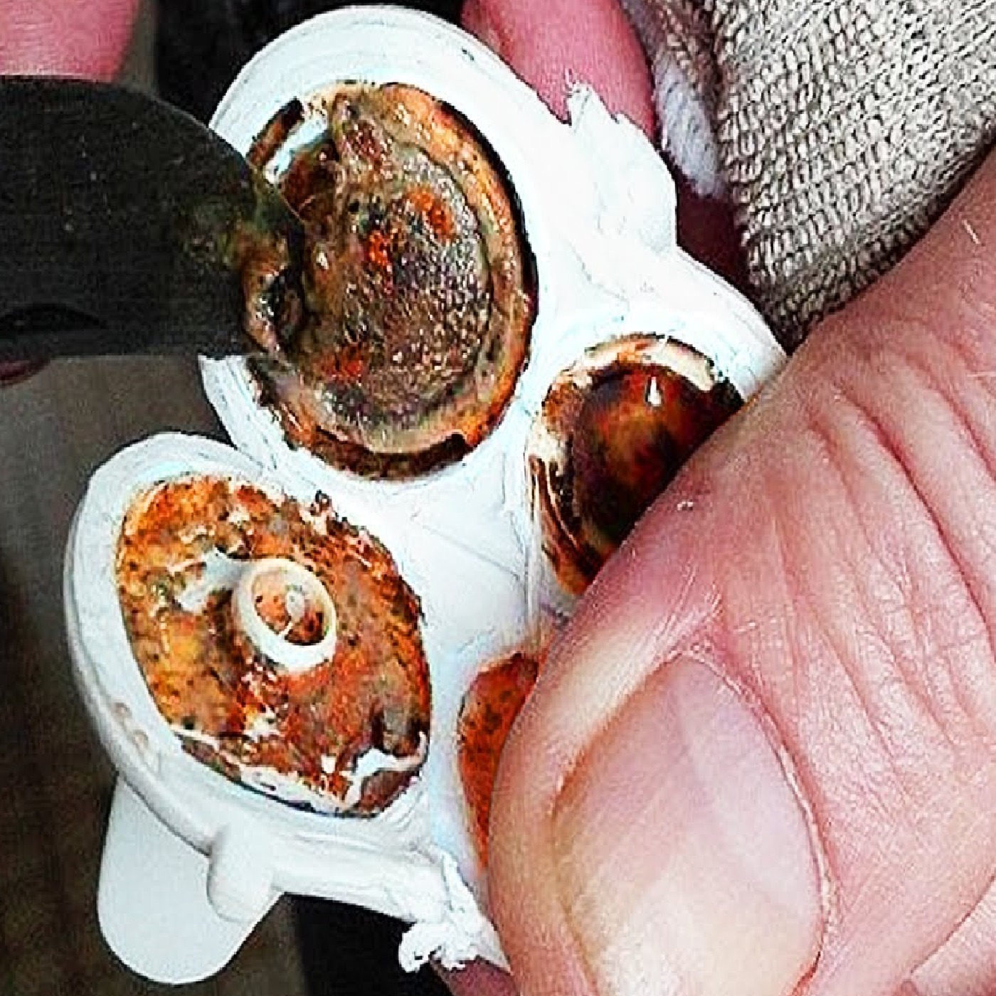Worst Product Recalls To Destroy Your Faith In Humanity