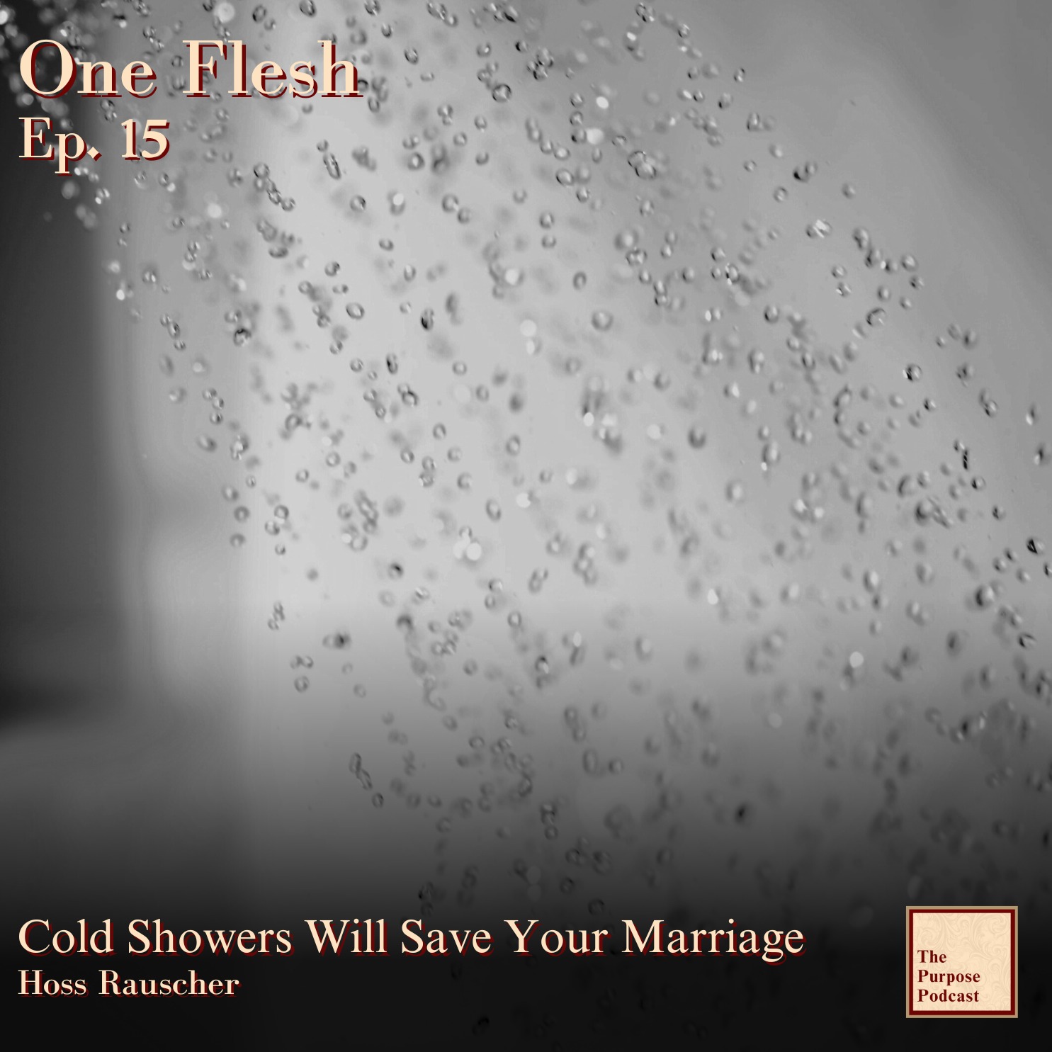 One Flesh Ep. 15 - Cold Showers Will Save Your Marriage | Solo episode artwork