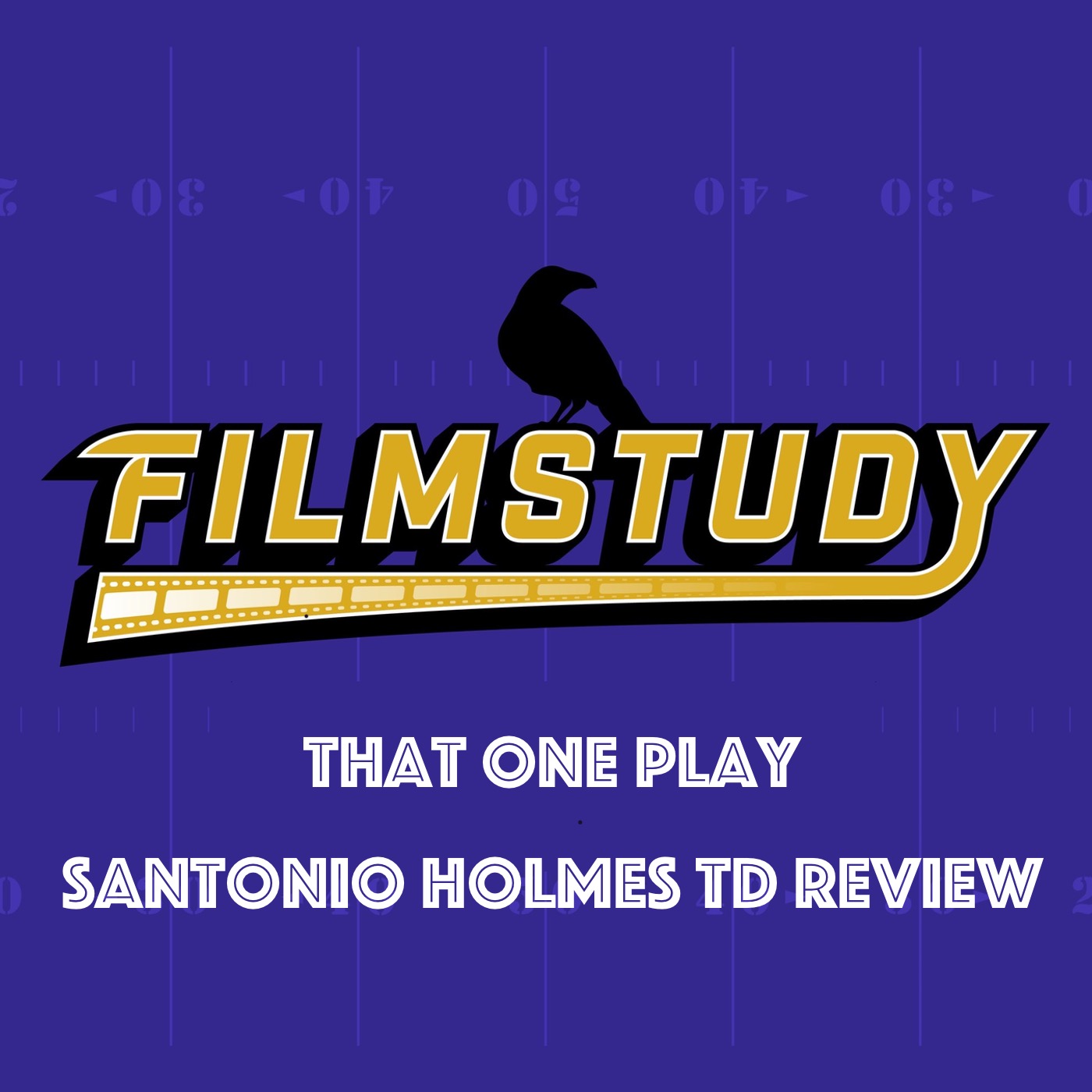 TOP : Santonio Holmes TD Review