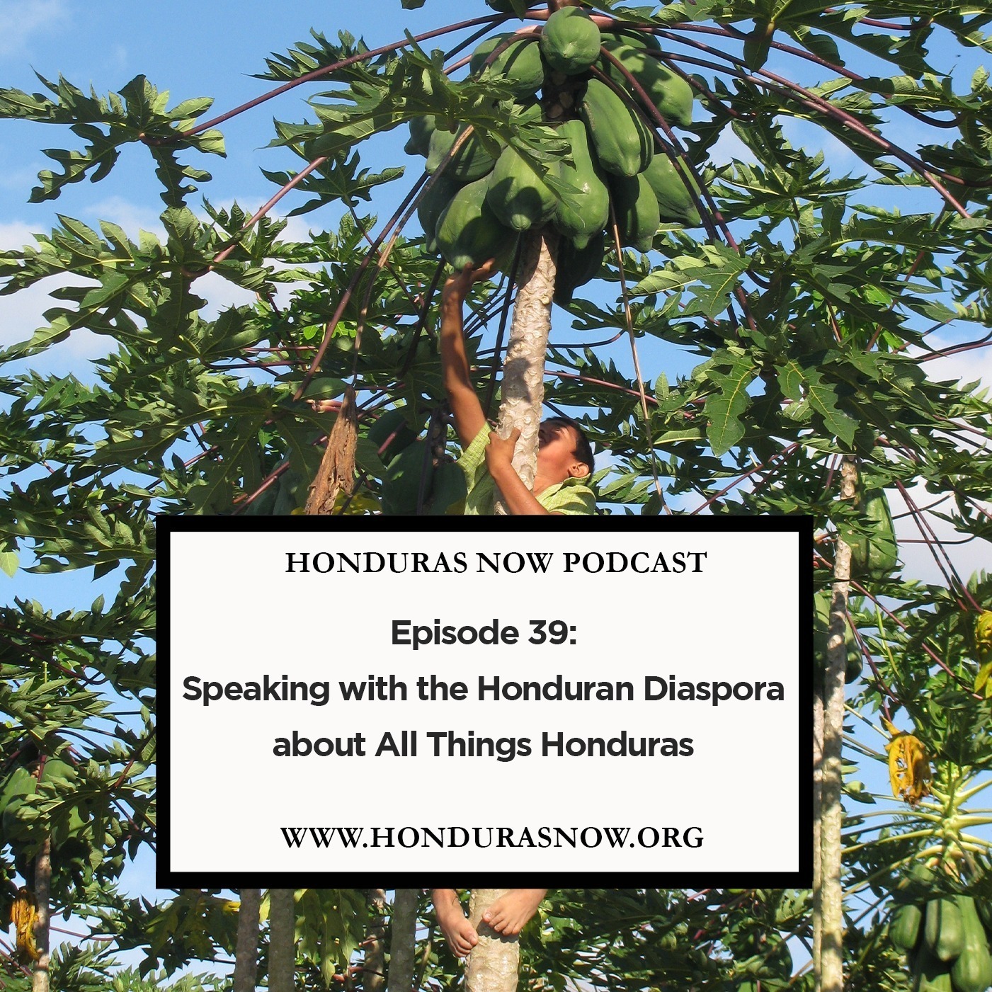 Honduras Now Podcast