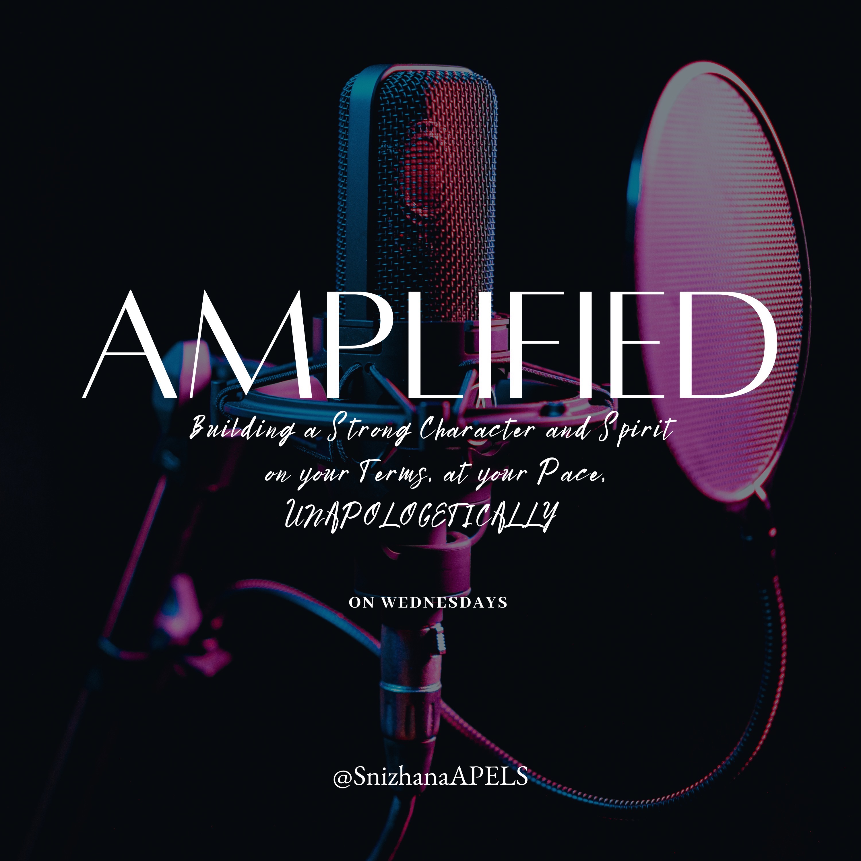 Audio Player Image