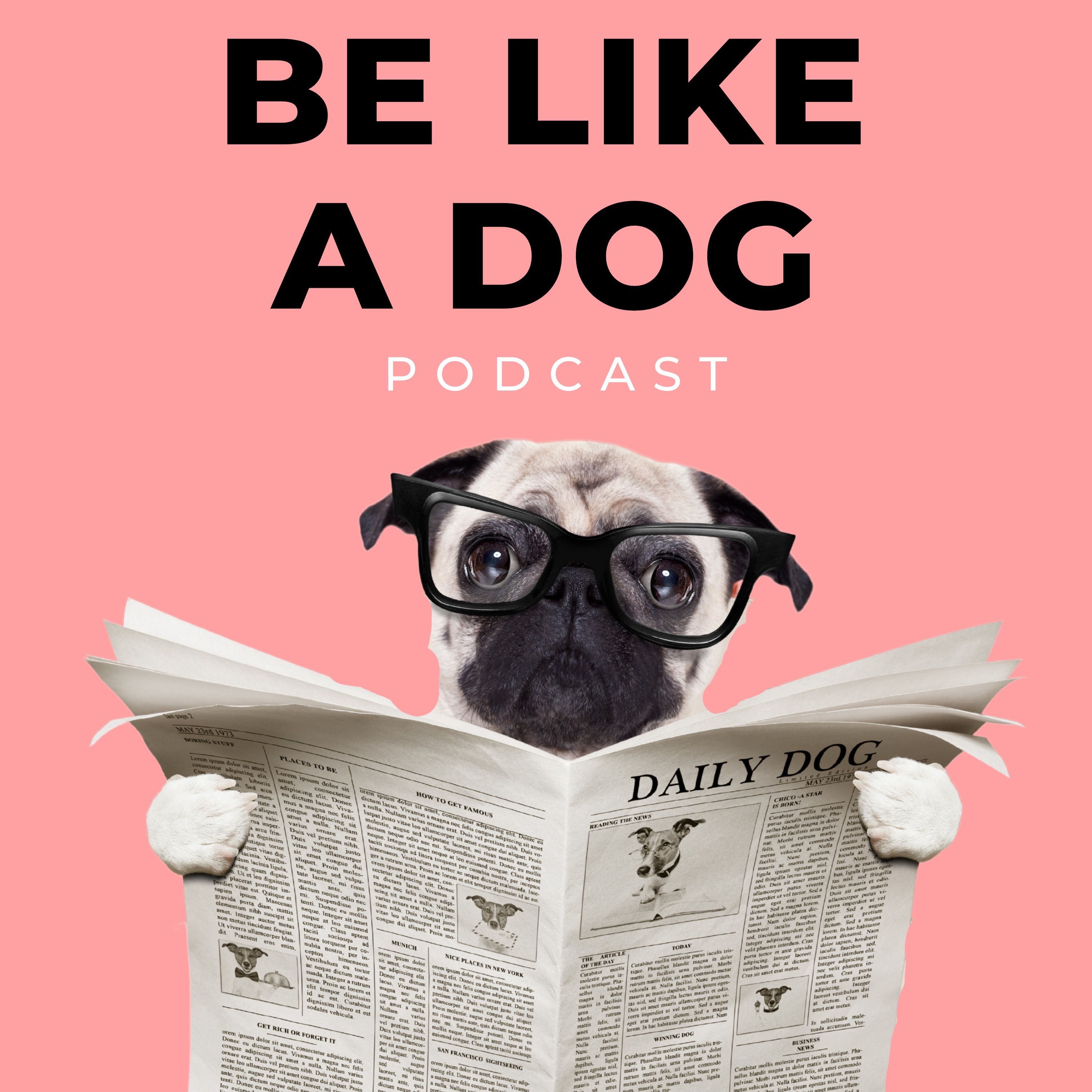 Episode 7: Kith and Kin