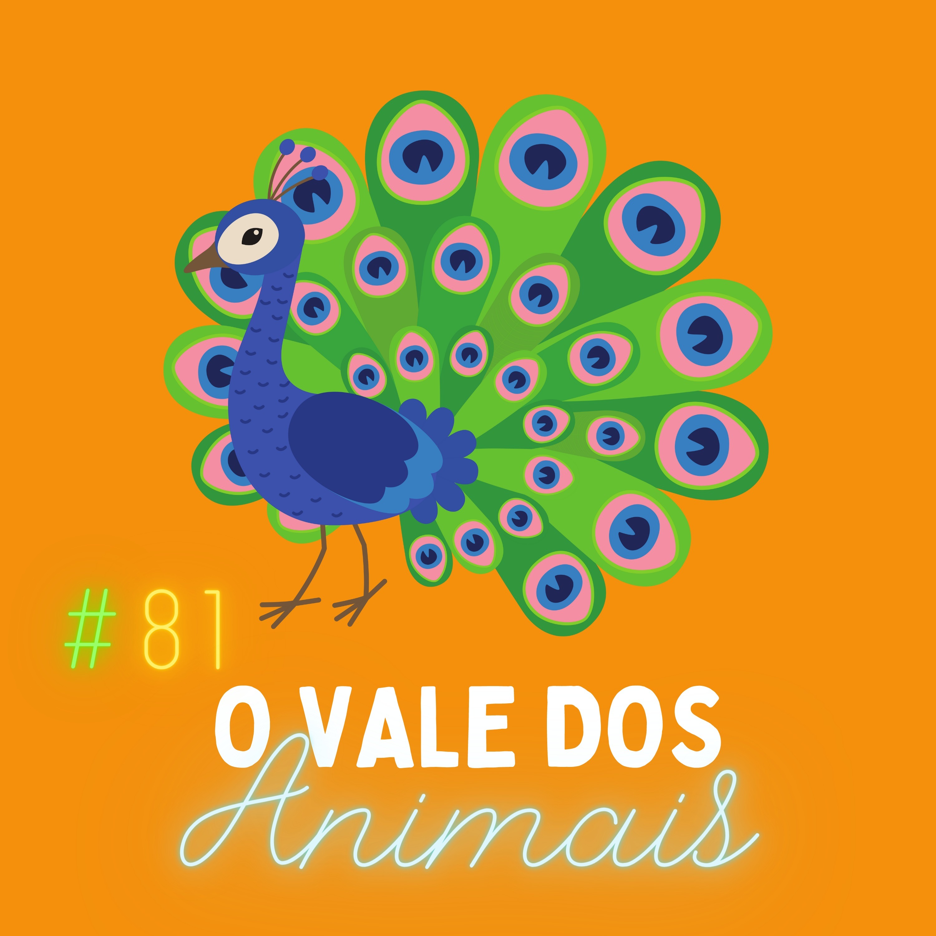 Papo Místico!