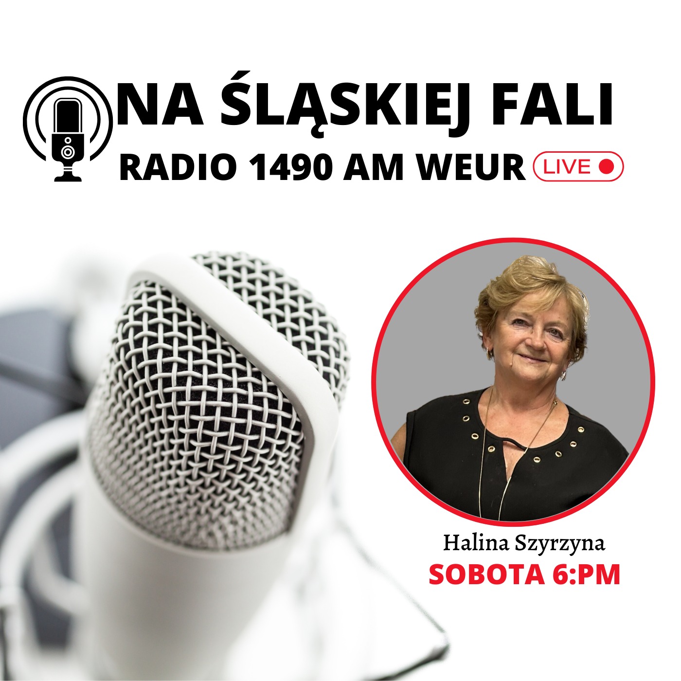 Radio Na Śląskiej Fali Chicago