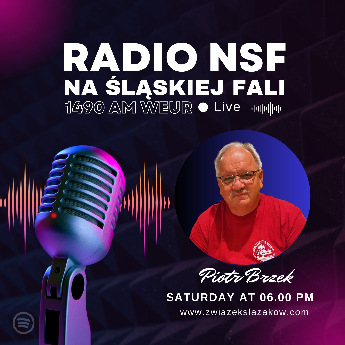 Radio Na Śląskiej Fali Chicago