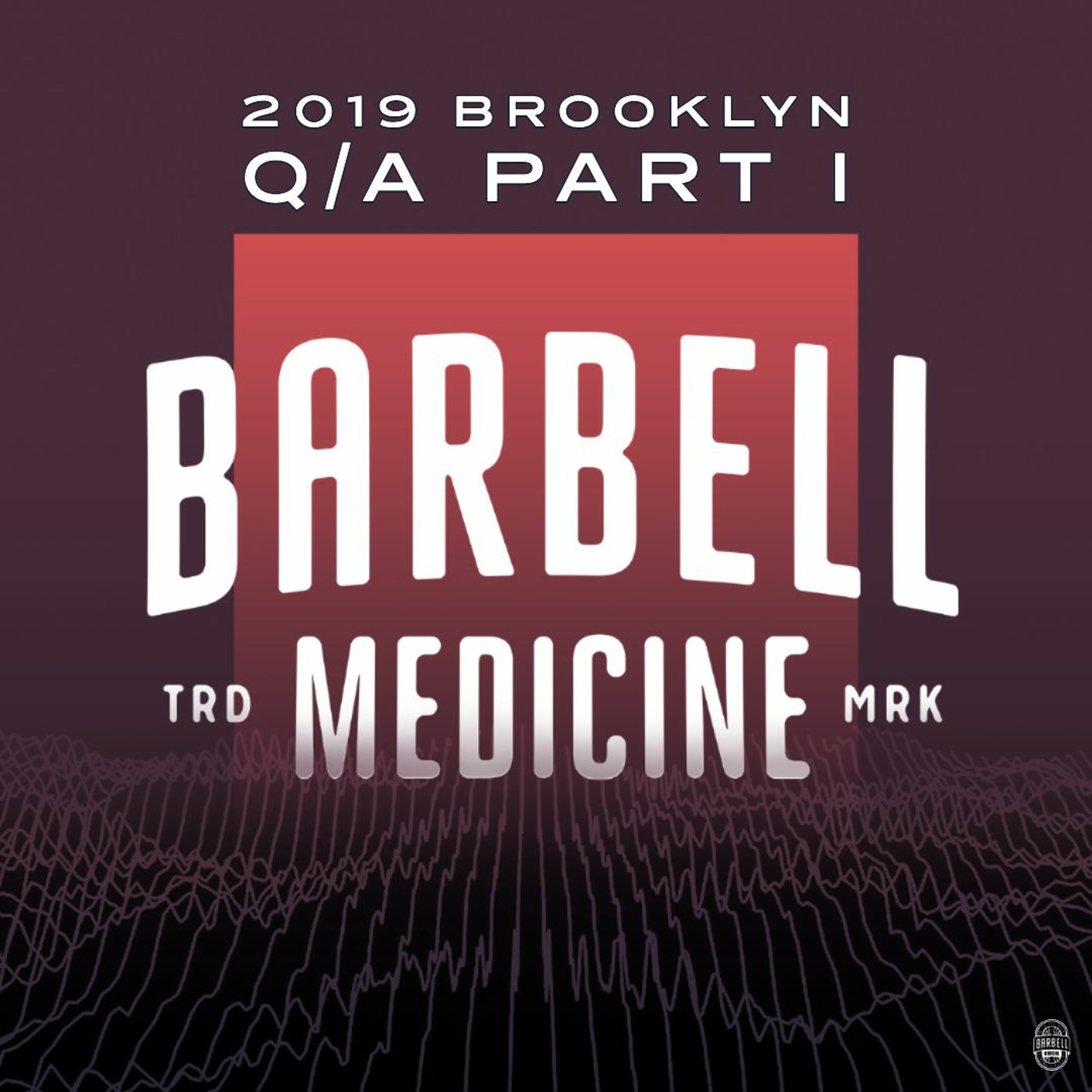 2019 Brooklyn Q/A: How Strong is Strong Enough For Sports, HDL Cholesterol, SARMS, and more!