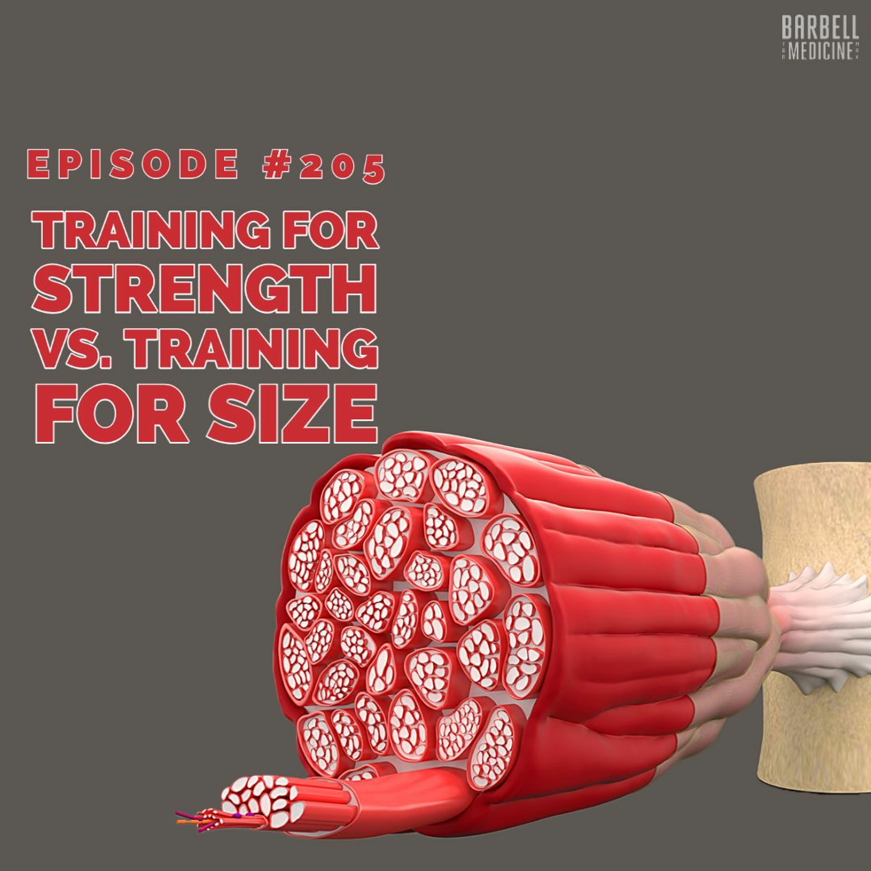 Barbell Medicine Podcast