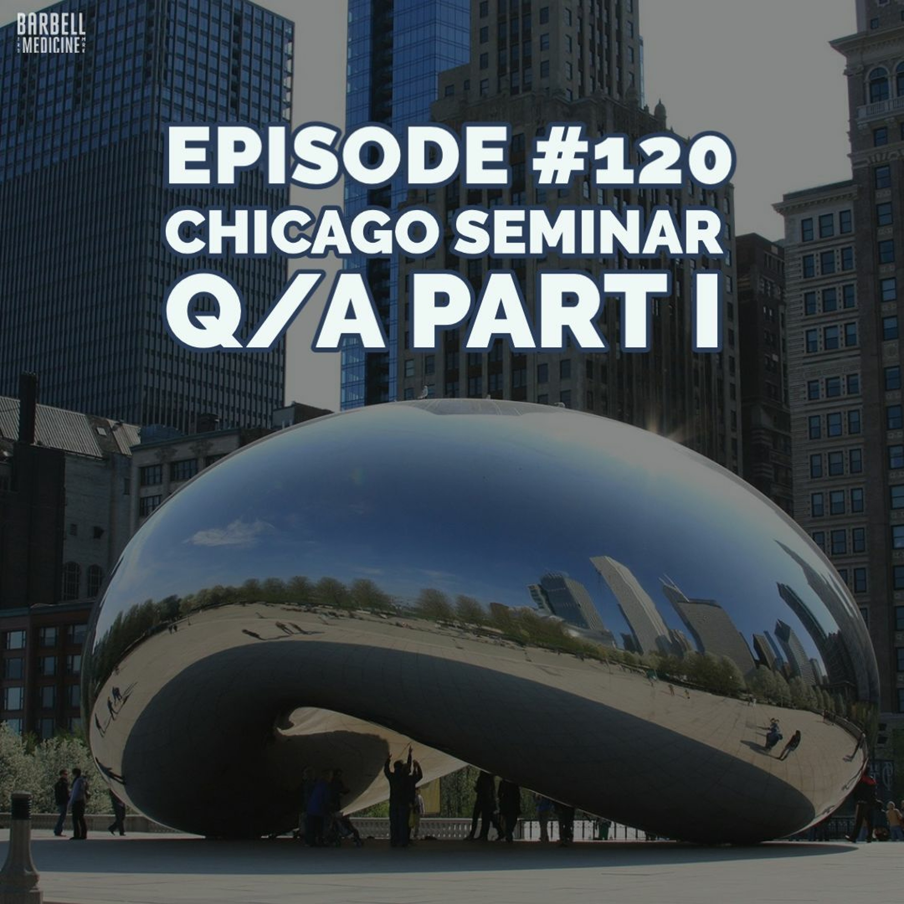 Episode #120: Chicago Seminar Q/A Part I