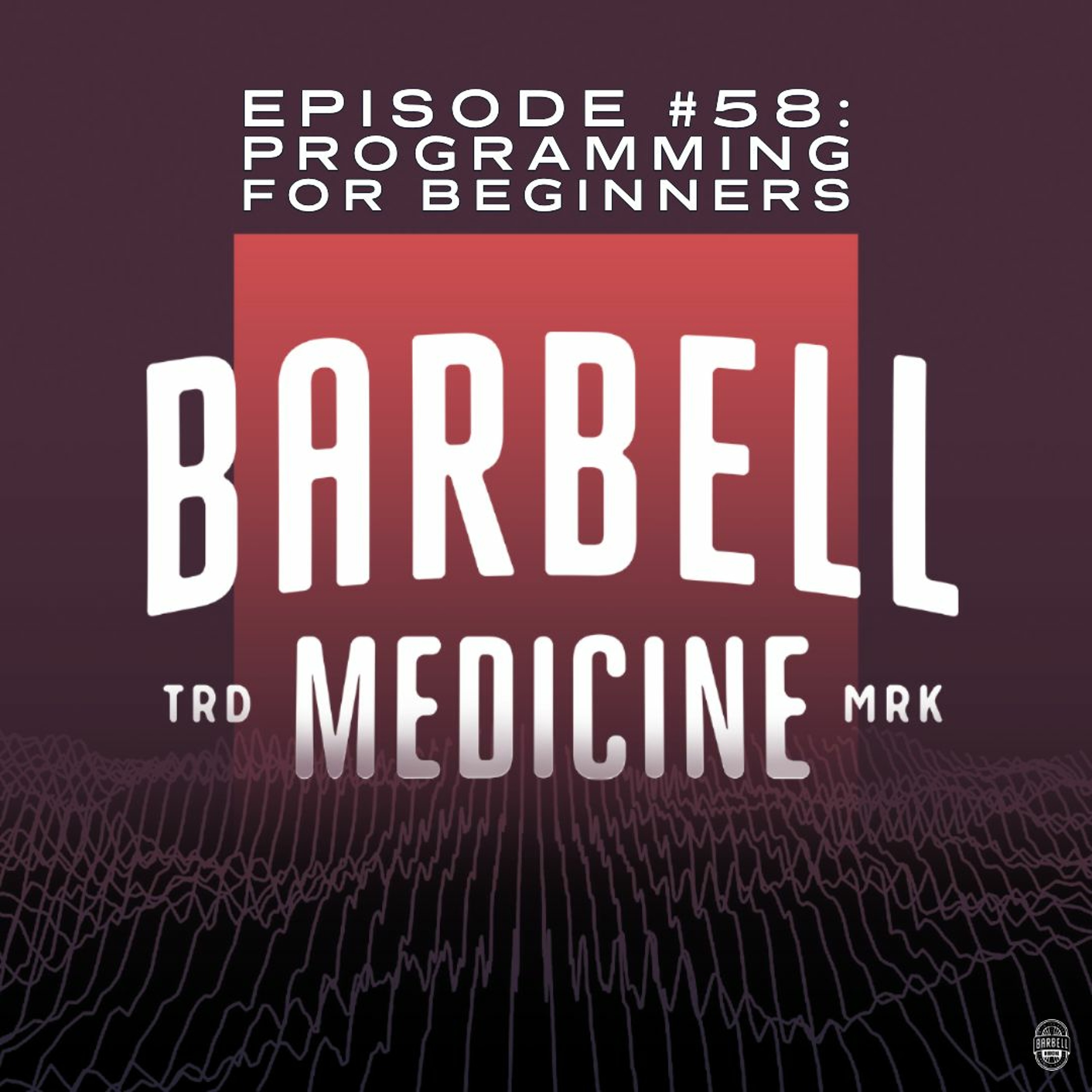 Episode #58: Programming For Beginners (and other musings on training)