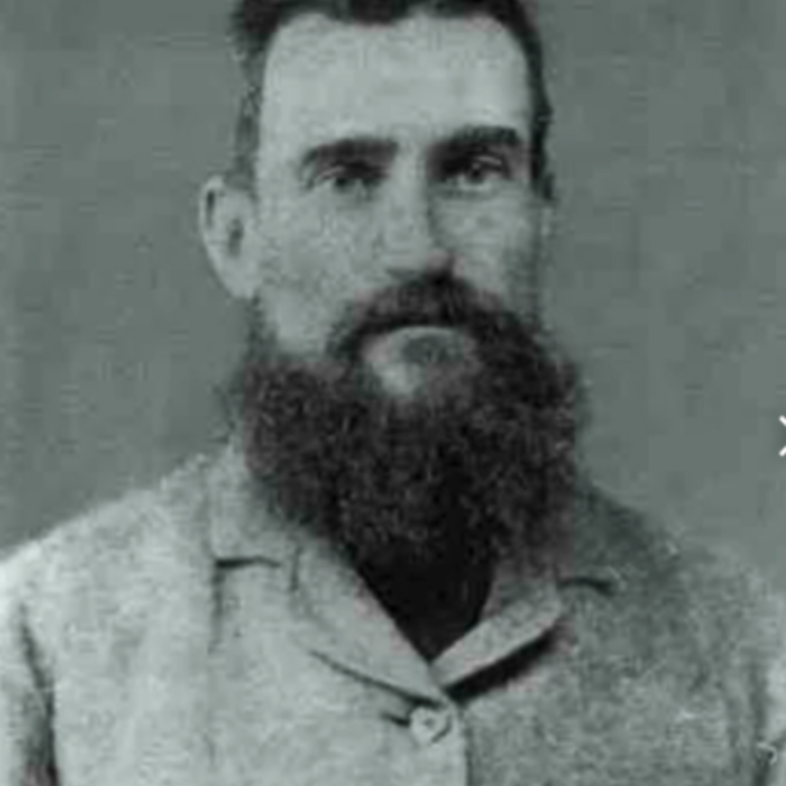 The Dollop with Dave Anthony and Gareth Reynolds