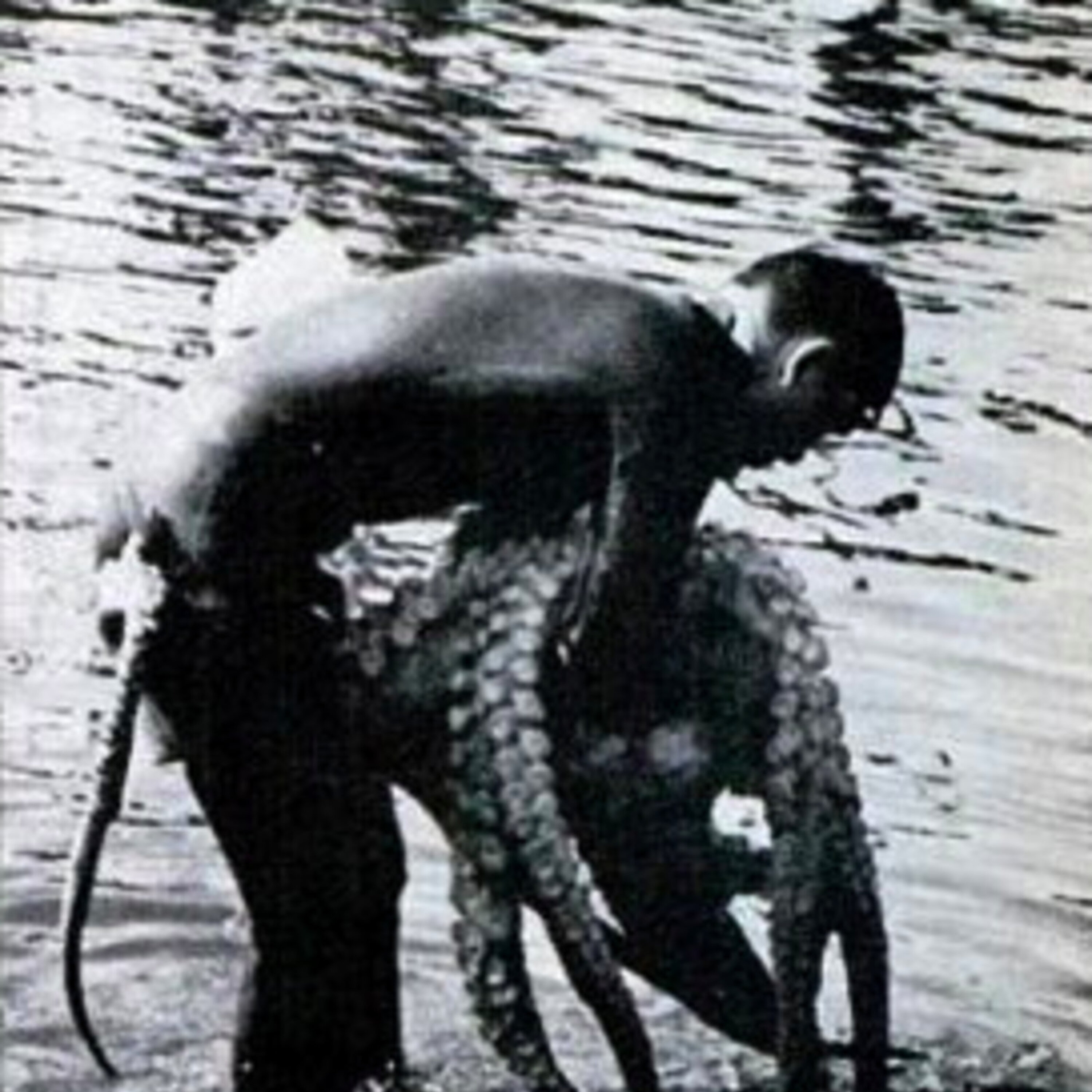 103 - Octopus Wrestling episode artwork