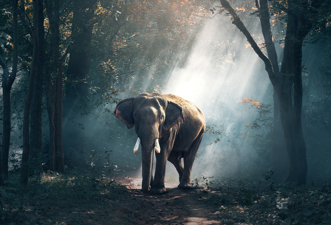 Deep Sleep Music: Very Relaxing and Calm Music for Deep Sleep episode artwork