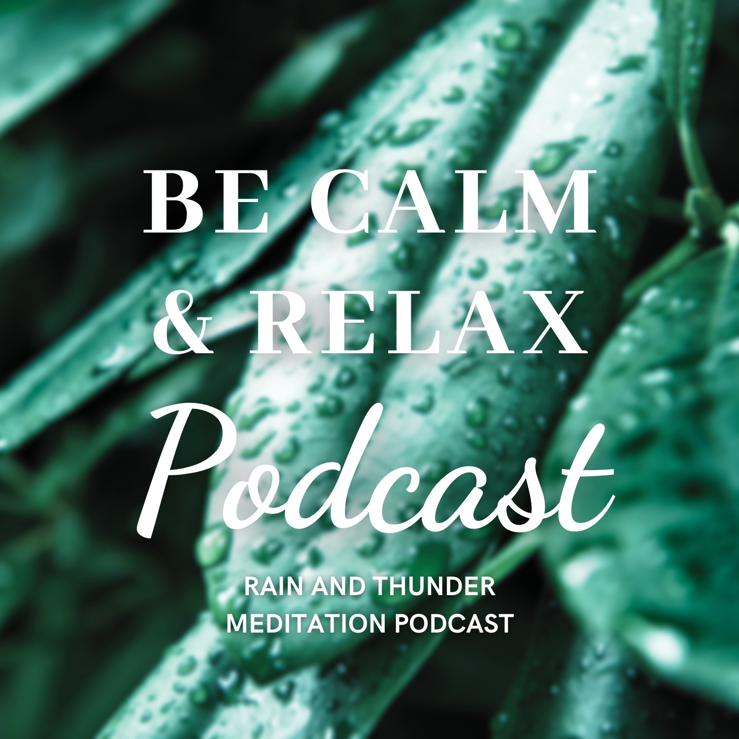 5-27 "8 Hours of Cascading Calm: Let the Rhythm of Falling Raindrops Lull You to Sleep"