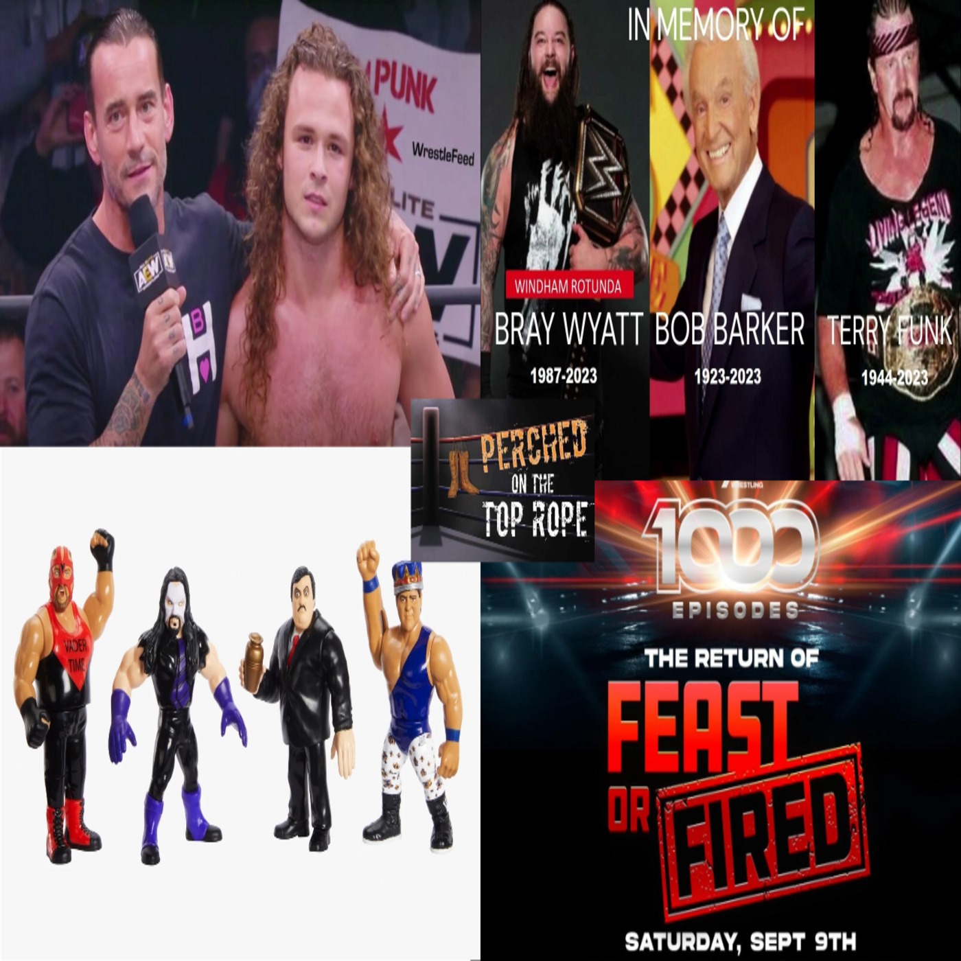 E149:  Tribute To Bray Wyatt Terry Funk, Is CM Punk A Heat Magnet? WWE Host Passes Away, WWE Retro's Up For Pre-Order, IMPACT 1,000 News and More, OH MY