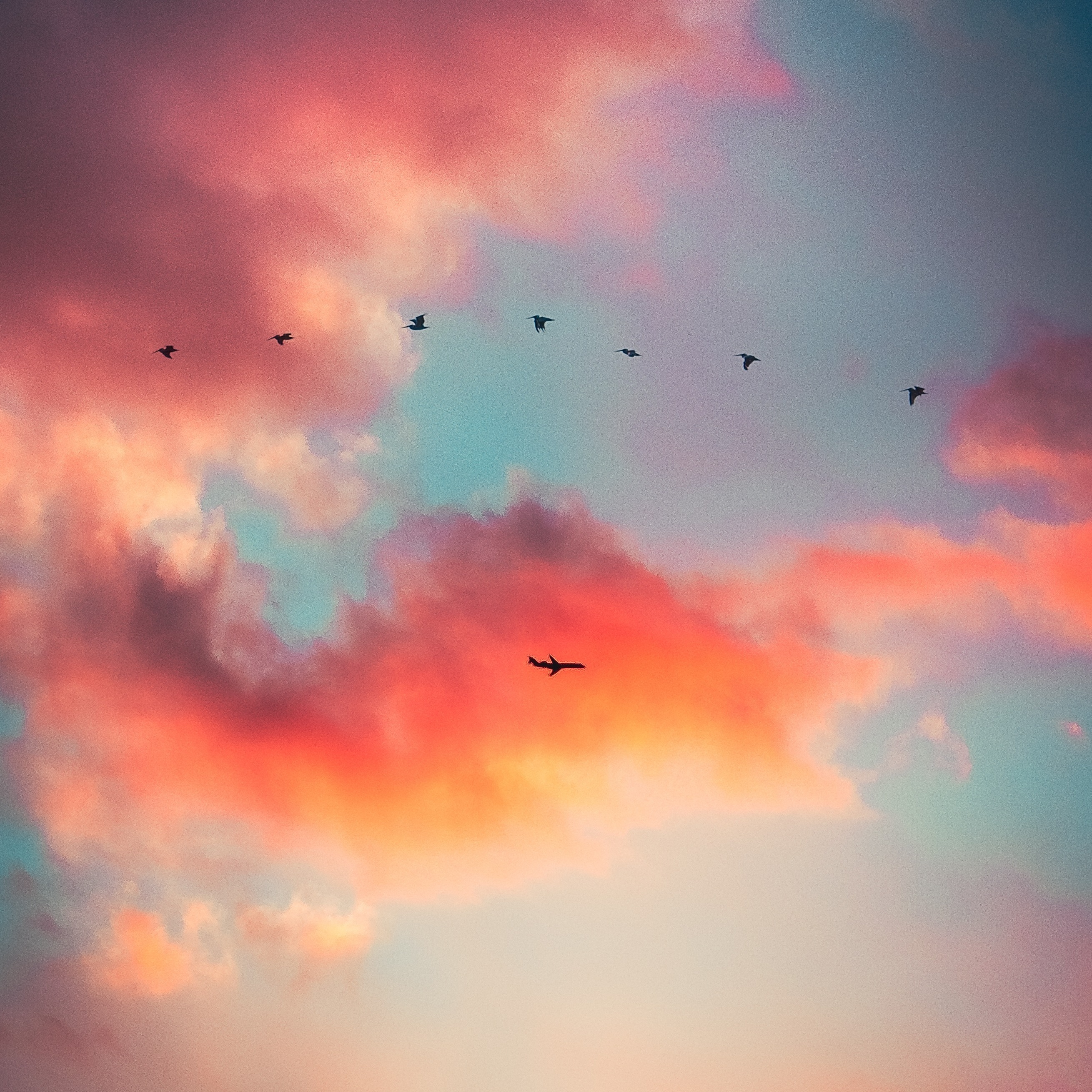 Ukraine International Airlines Flight 752 episode artwork