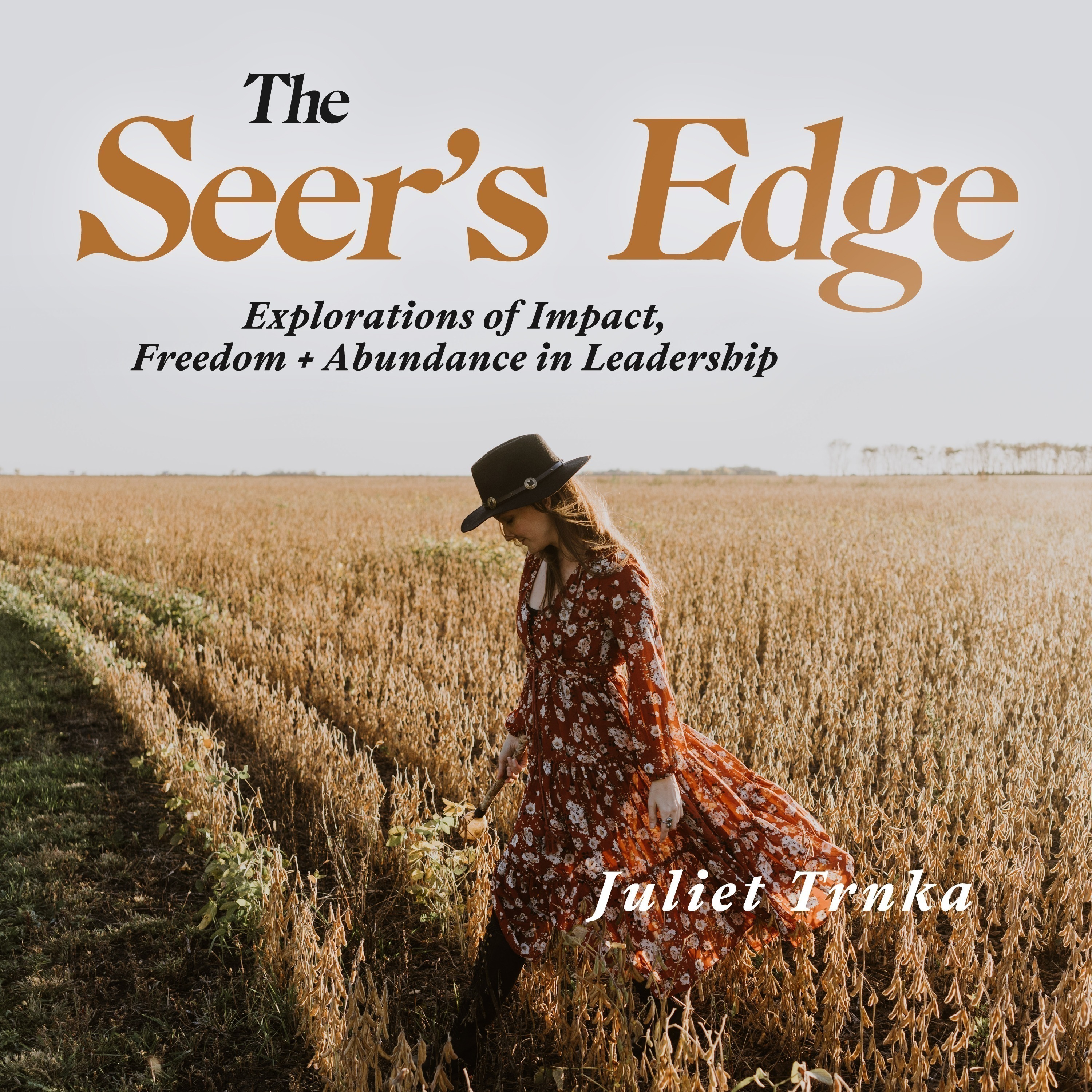 Embodied Wealth Consciousness