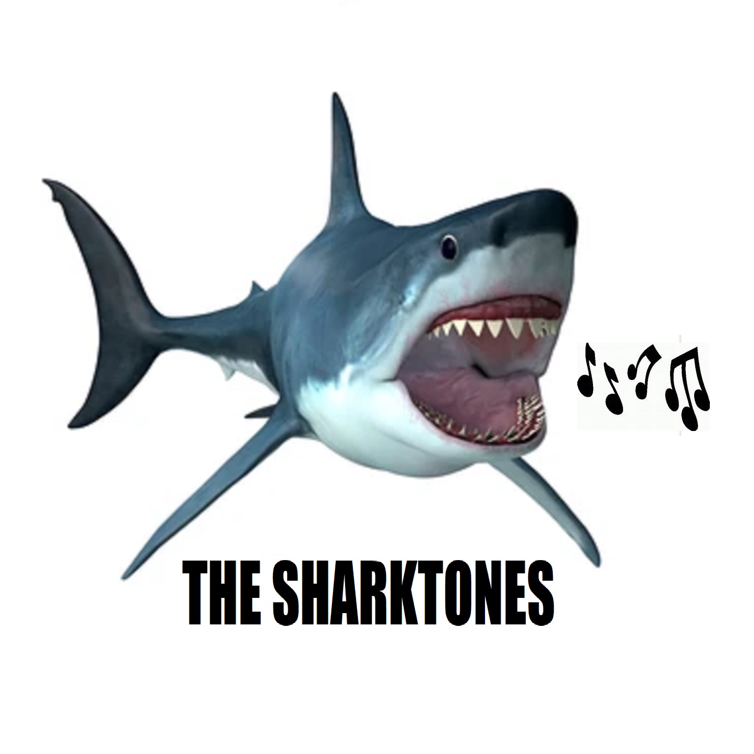 Audio Player Image