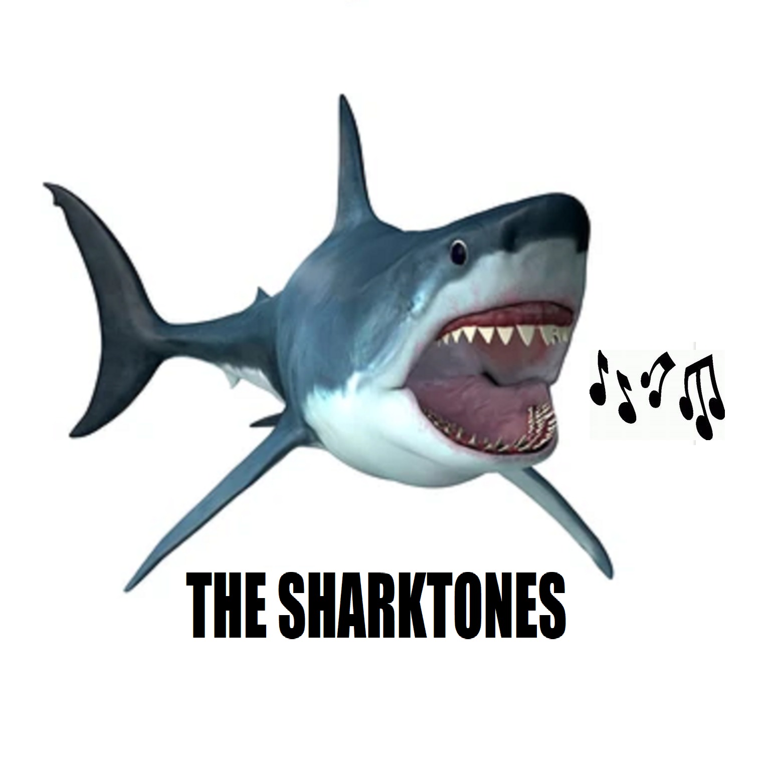 Audio Player Image