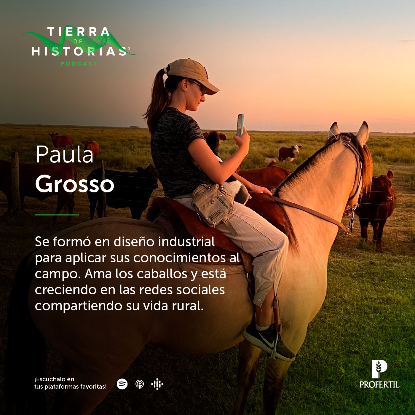 Tierra de Historias