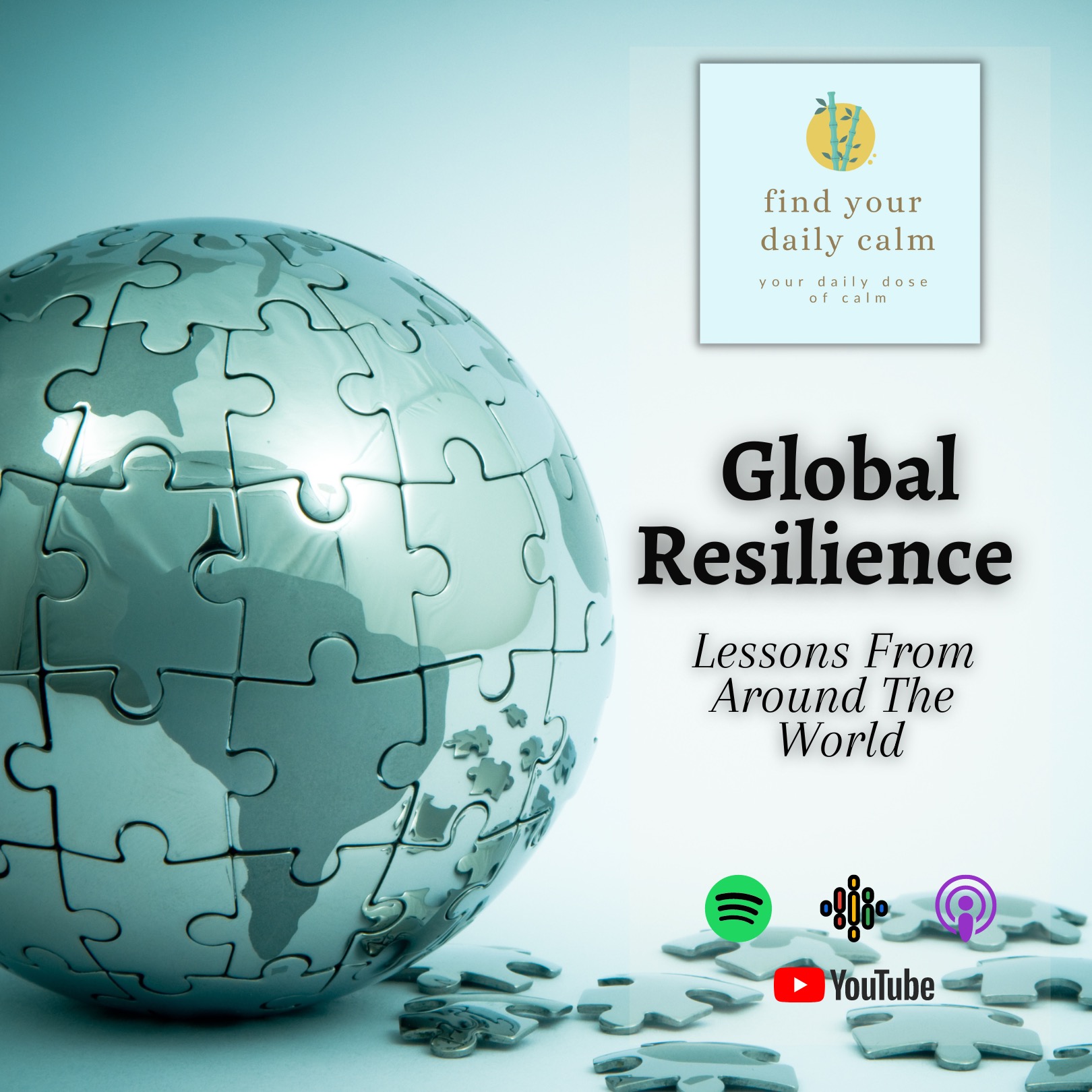 Global Resilience: Lessons from Around the World