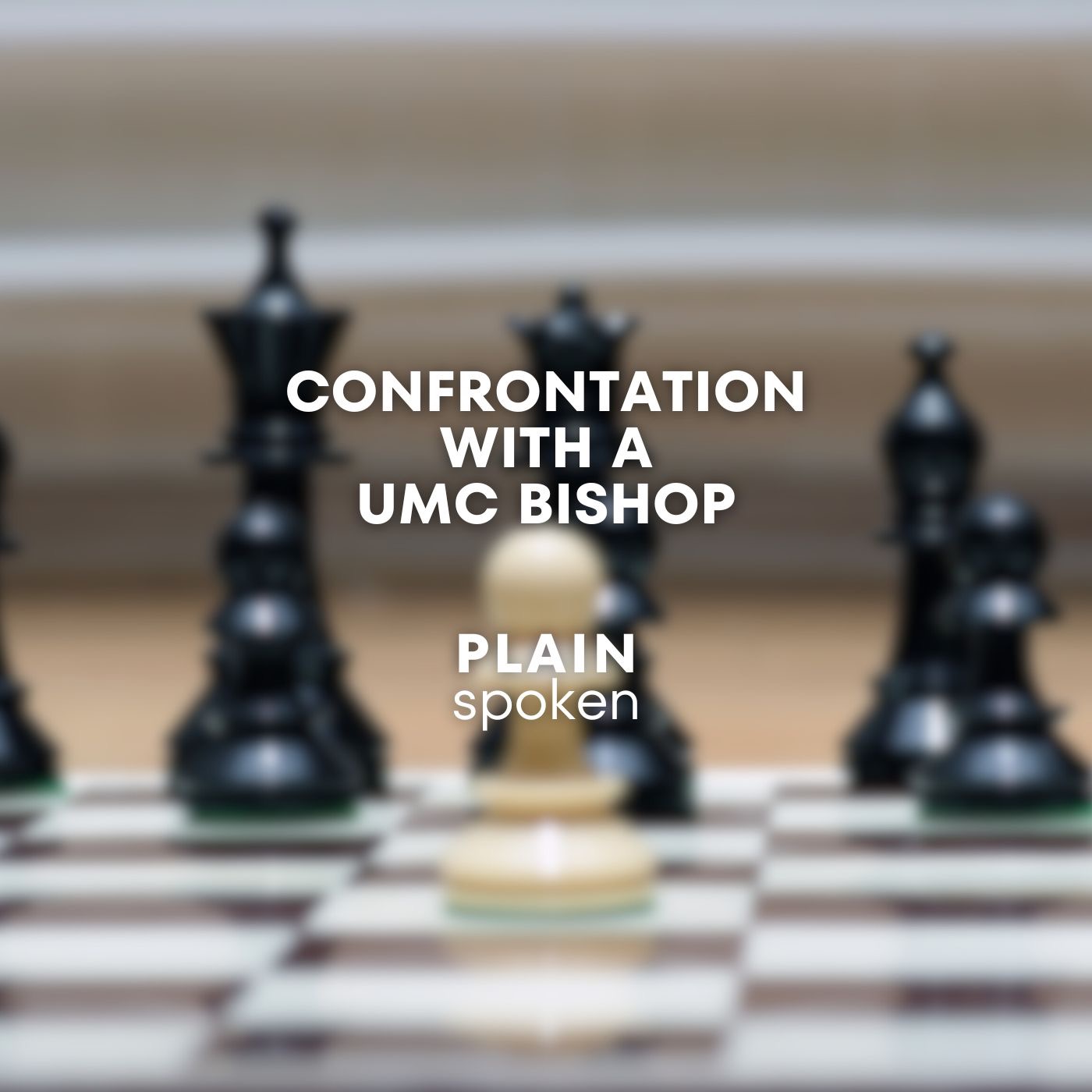 Confrontation With A United Methodist Bishop episode artwork