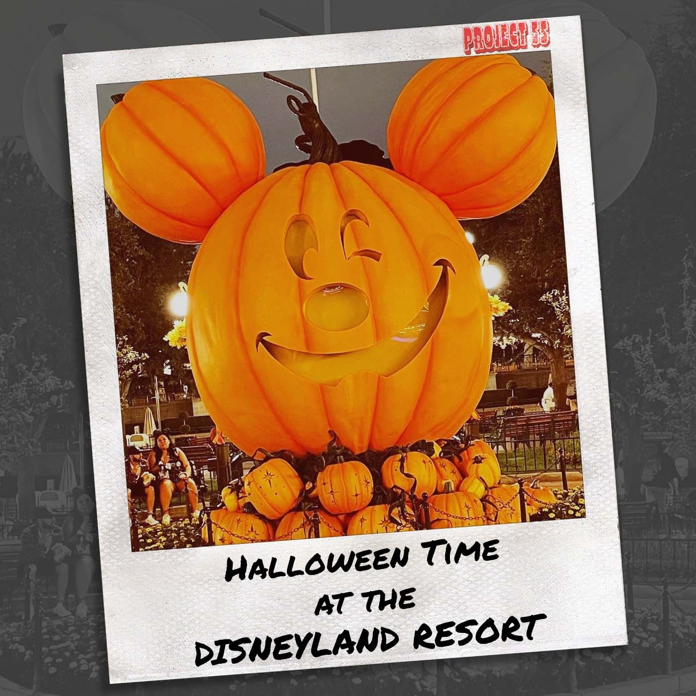 Project55 - A Disneyland Experience