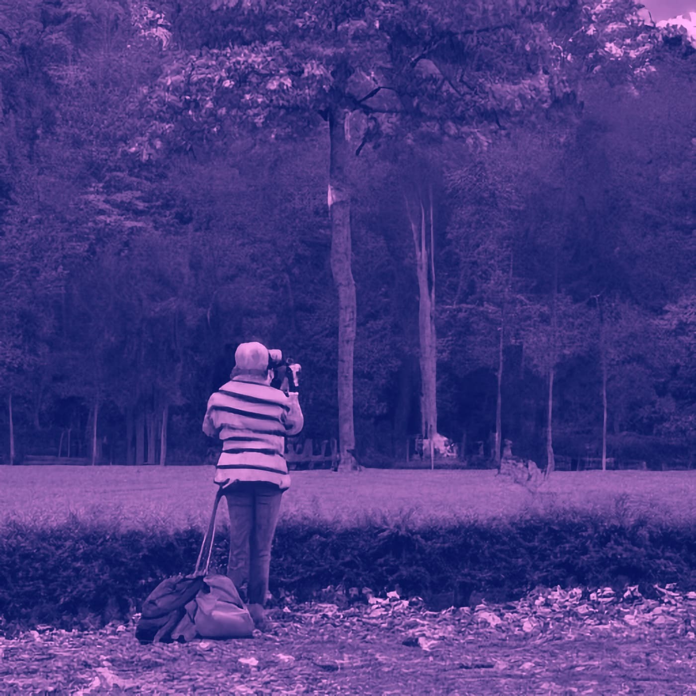 Instagram Is Why We Can't Have Nice Things