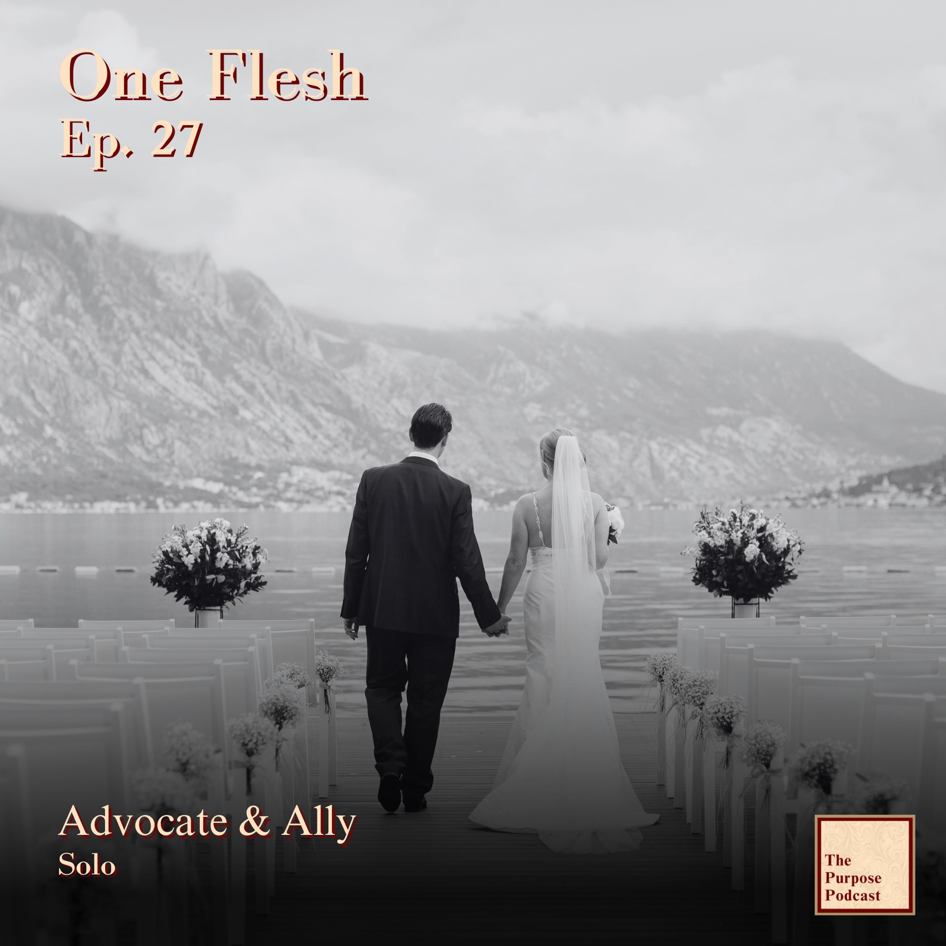 One Flesh Ep. 27 - Advocate & Ally | Solo episode artwork