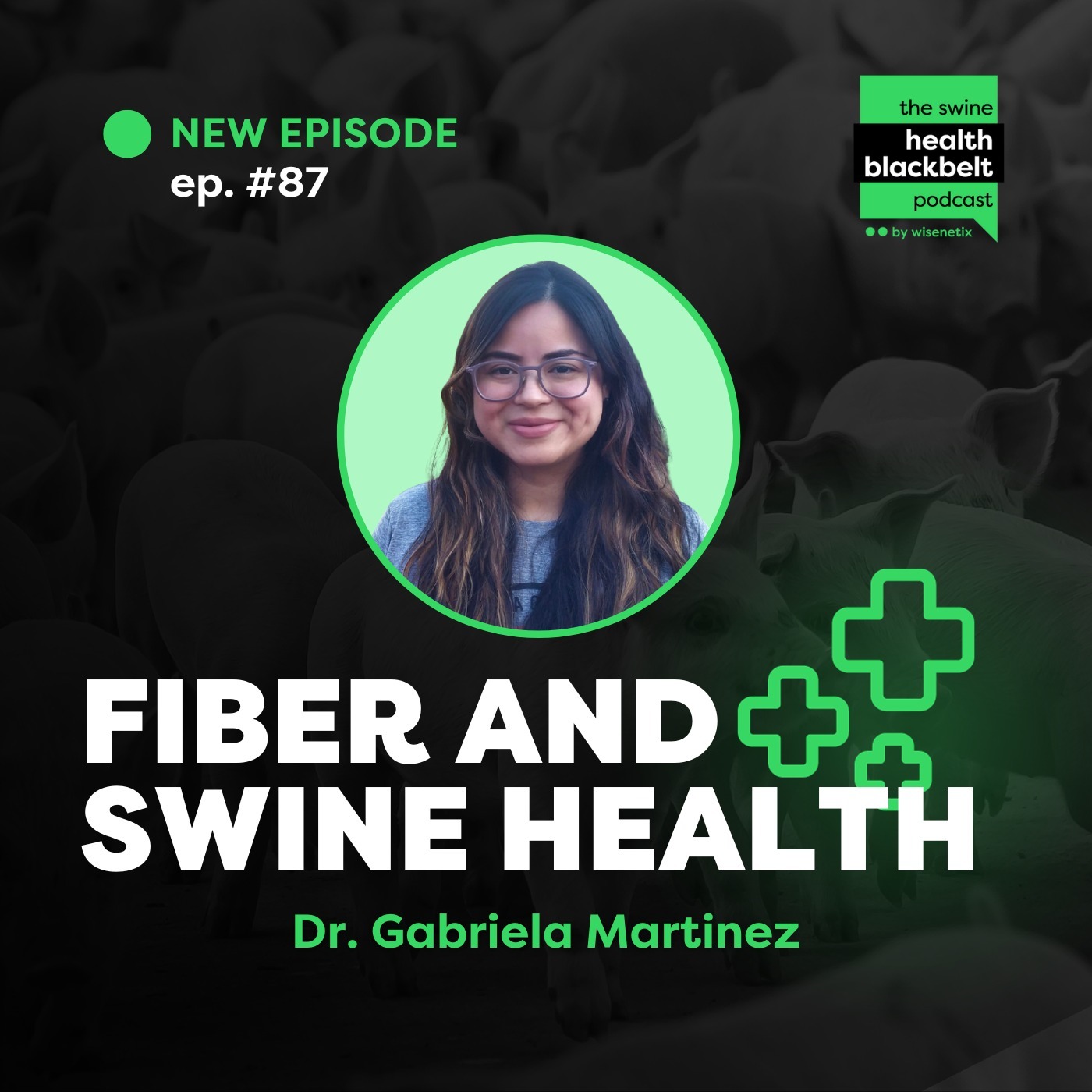 Dr. Gabriela Martinez: Fiber and Swine Health | Ep. 87