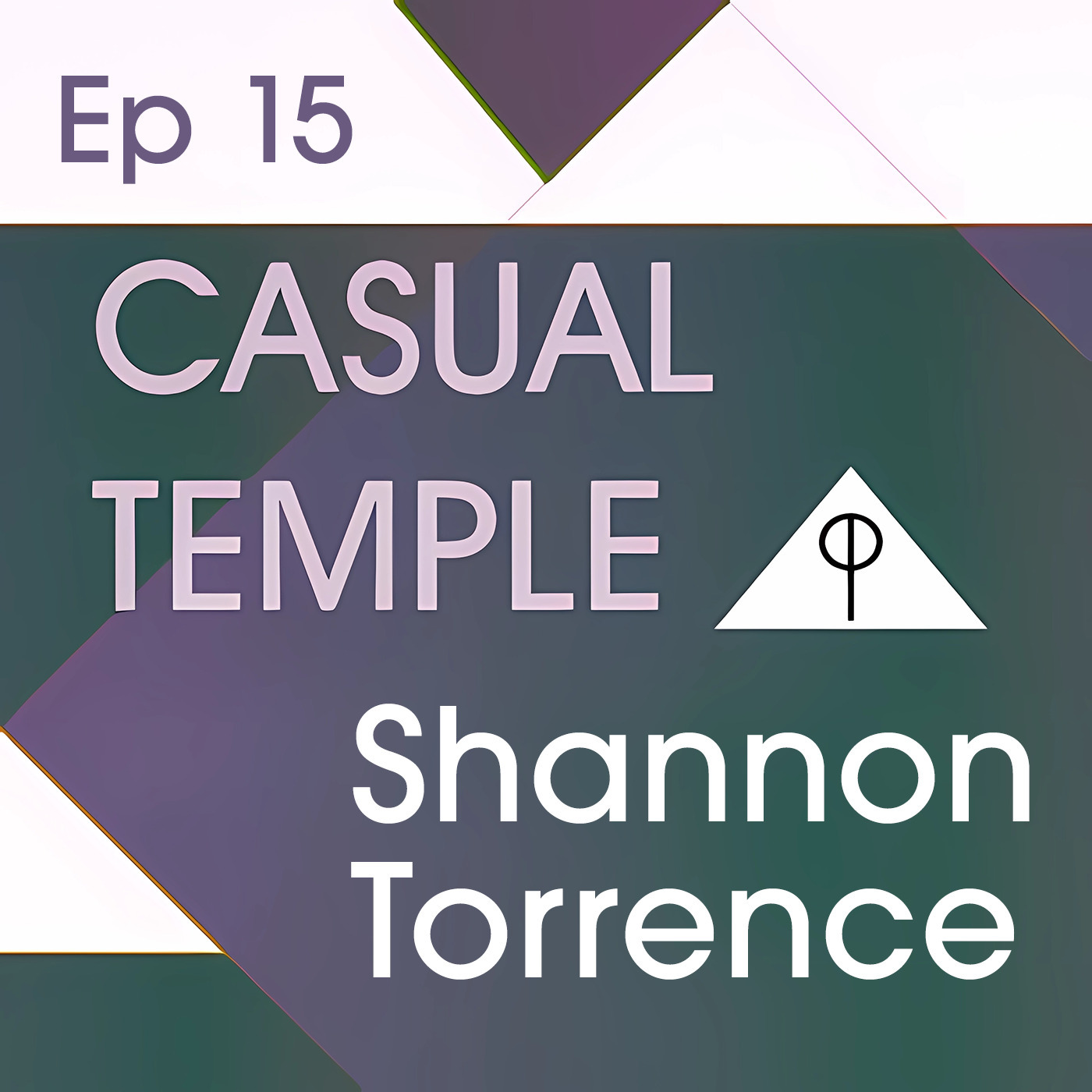 CT 15: Trusting SPIRIT Communication with WISDOM and INSIGHTS from an authentic PSYCHIC MEDIUM | Shannon Torrence