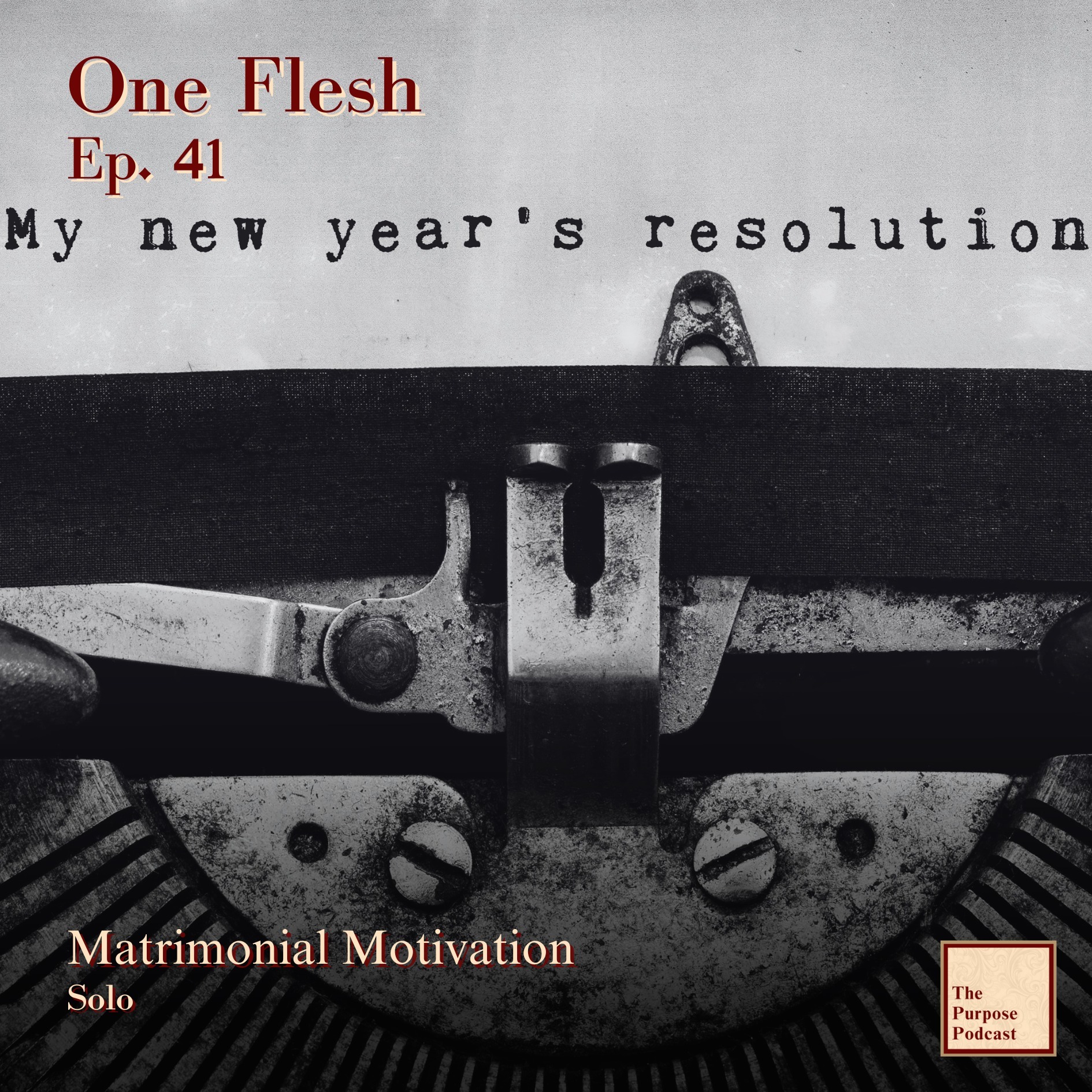One Flesh Ep. 41 - Matrimonial Motivation | Solo episode artwork