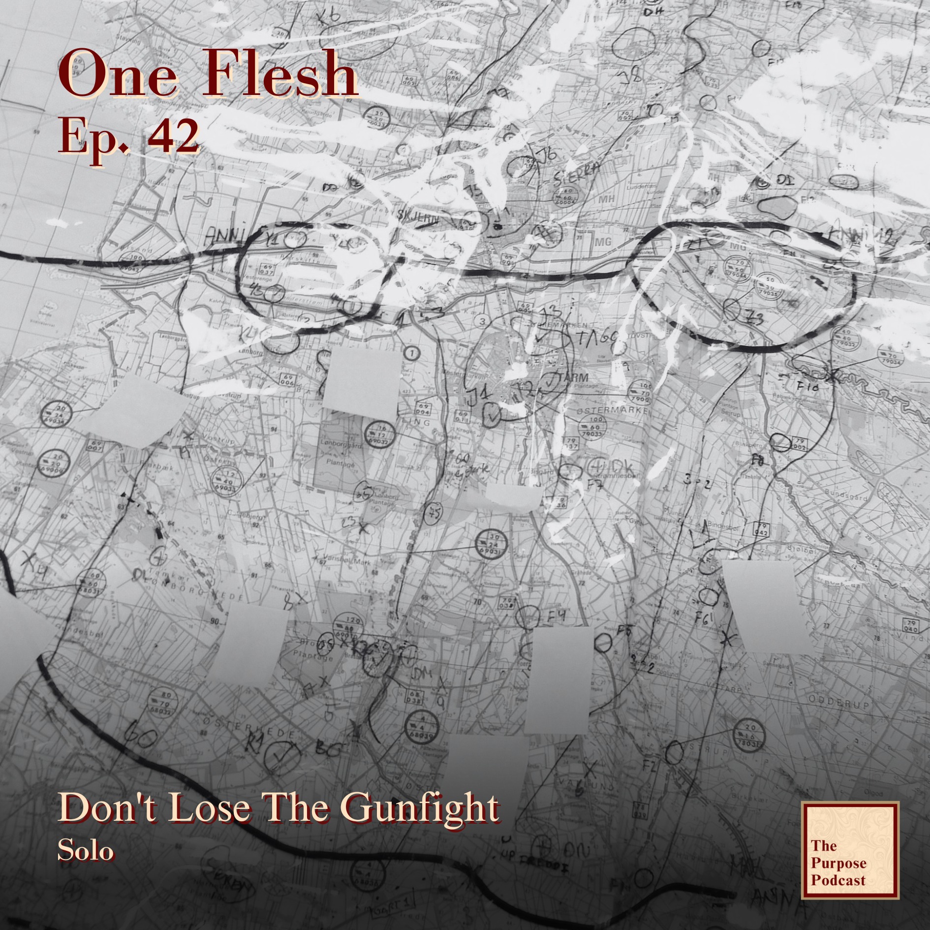 One Flesh Ep. 42 - Don't Lose The Gunfight | Solo episode artwork
