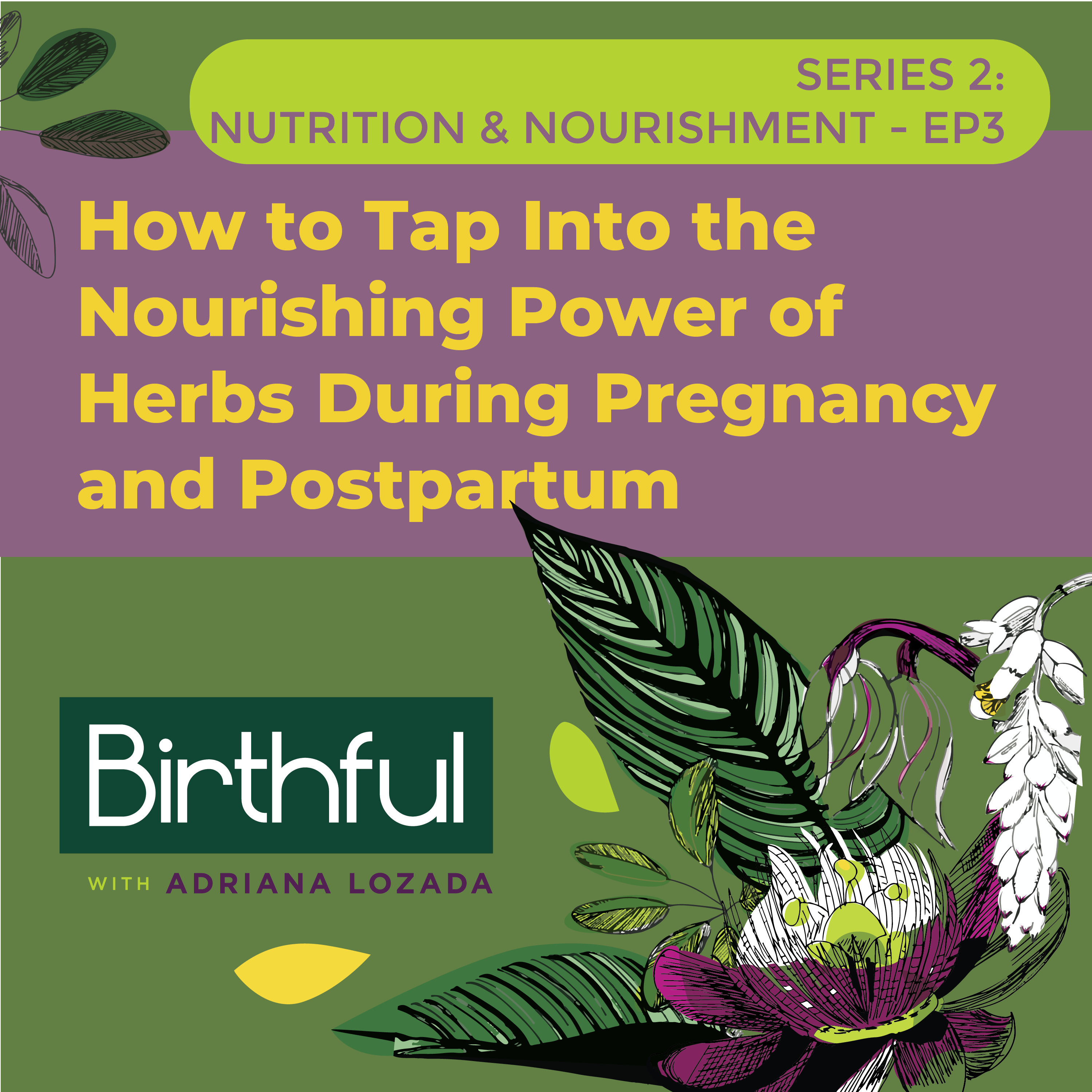 How to Tap Into the Nourishing Power of Herbs During Pregnancy and Postpartum