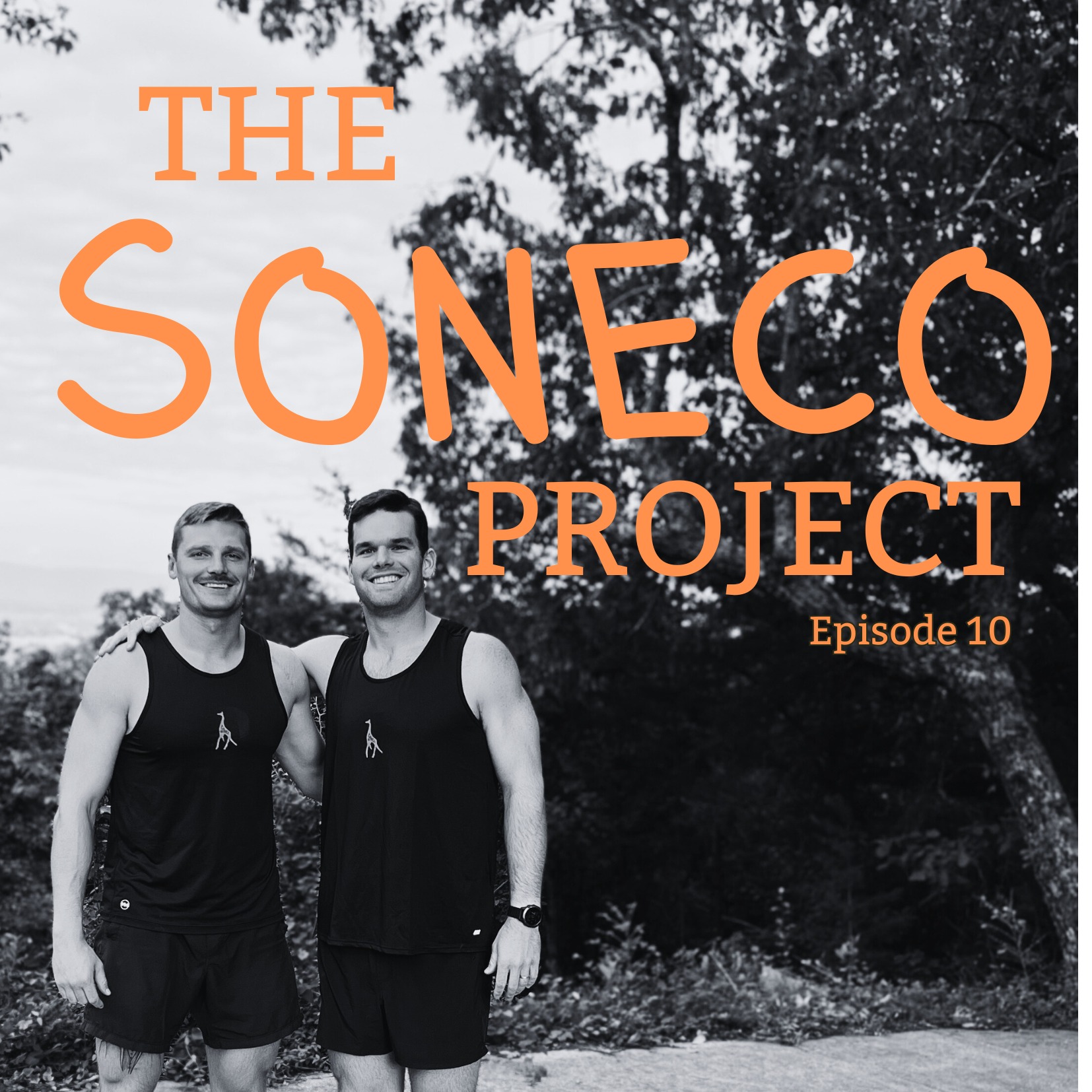 The Soneco Project
