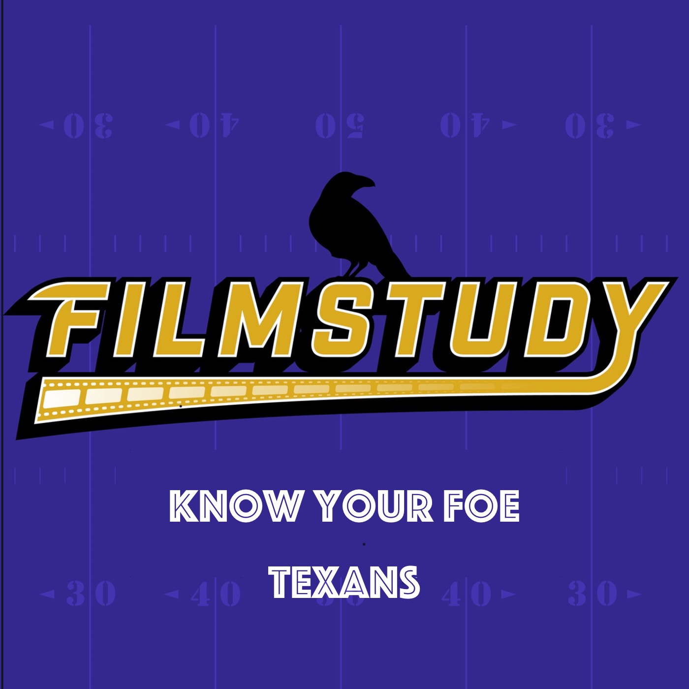 Know Your Foe : Texans Divisional Round 2024
