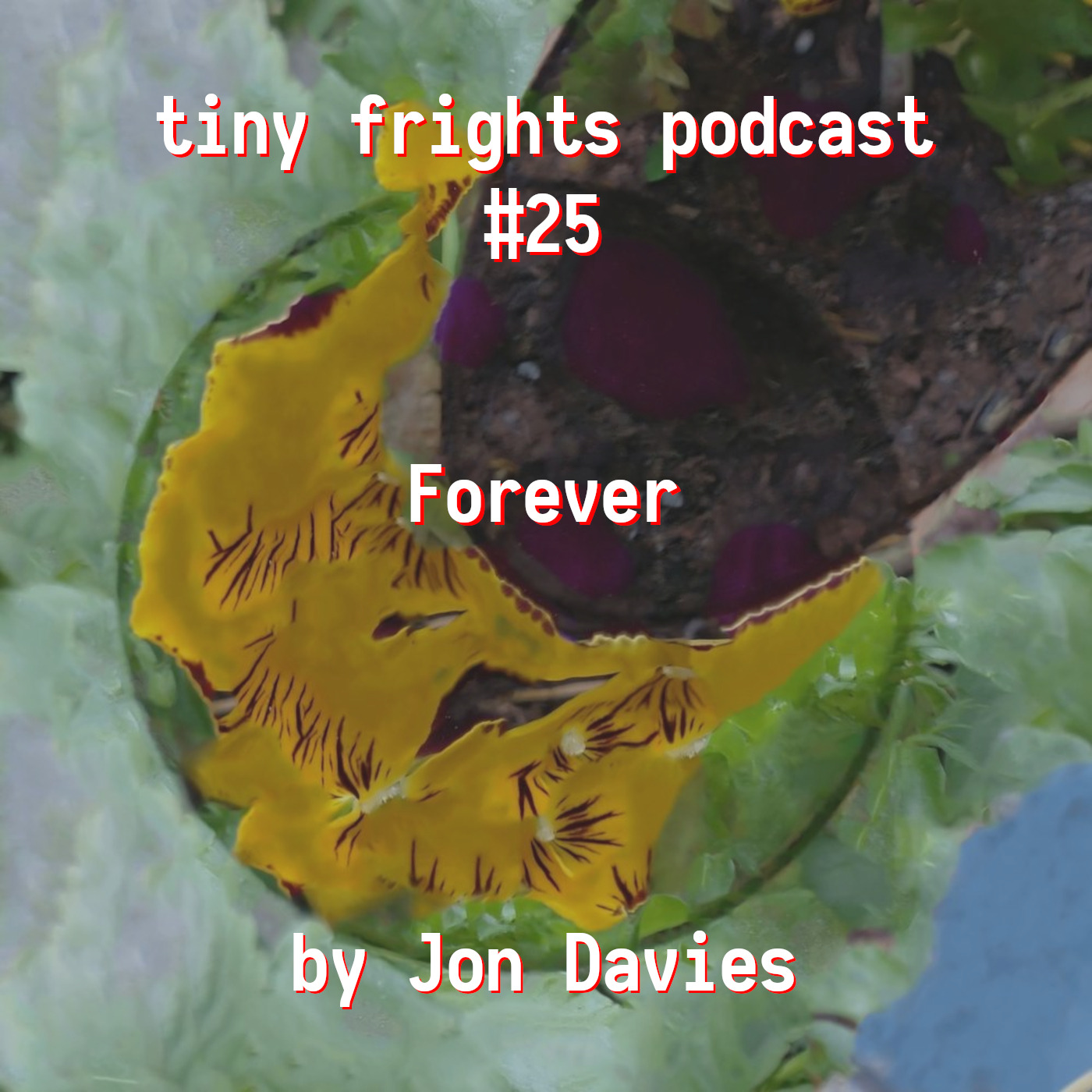 tiny frights