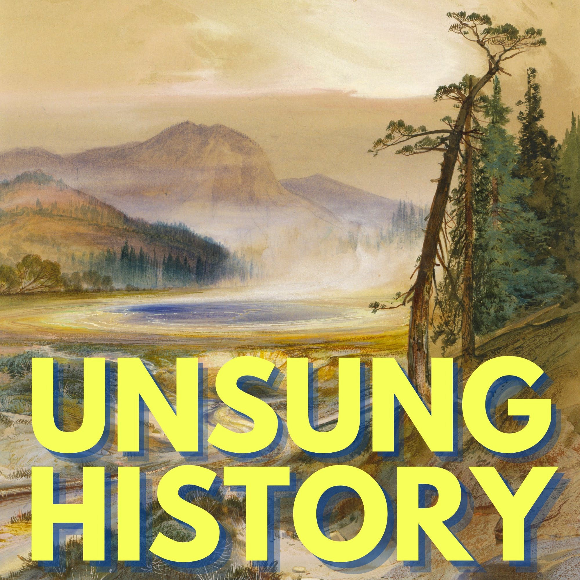 Unsung History