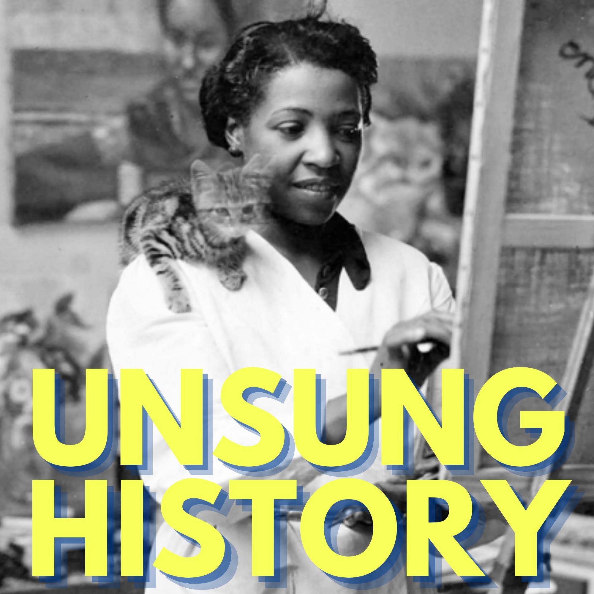 Unsung History